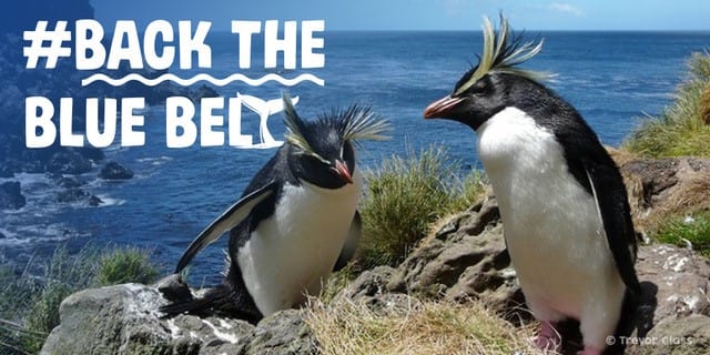Virgin Unite, Ocean Unite, Back the Blue Belt