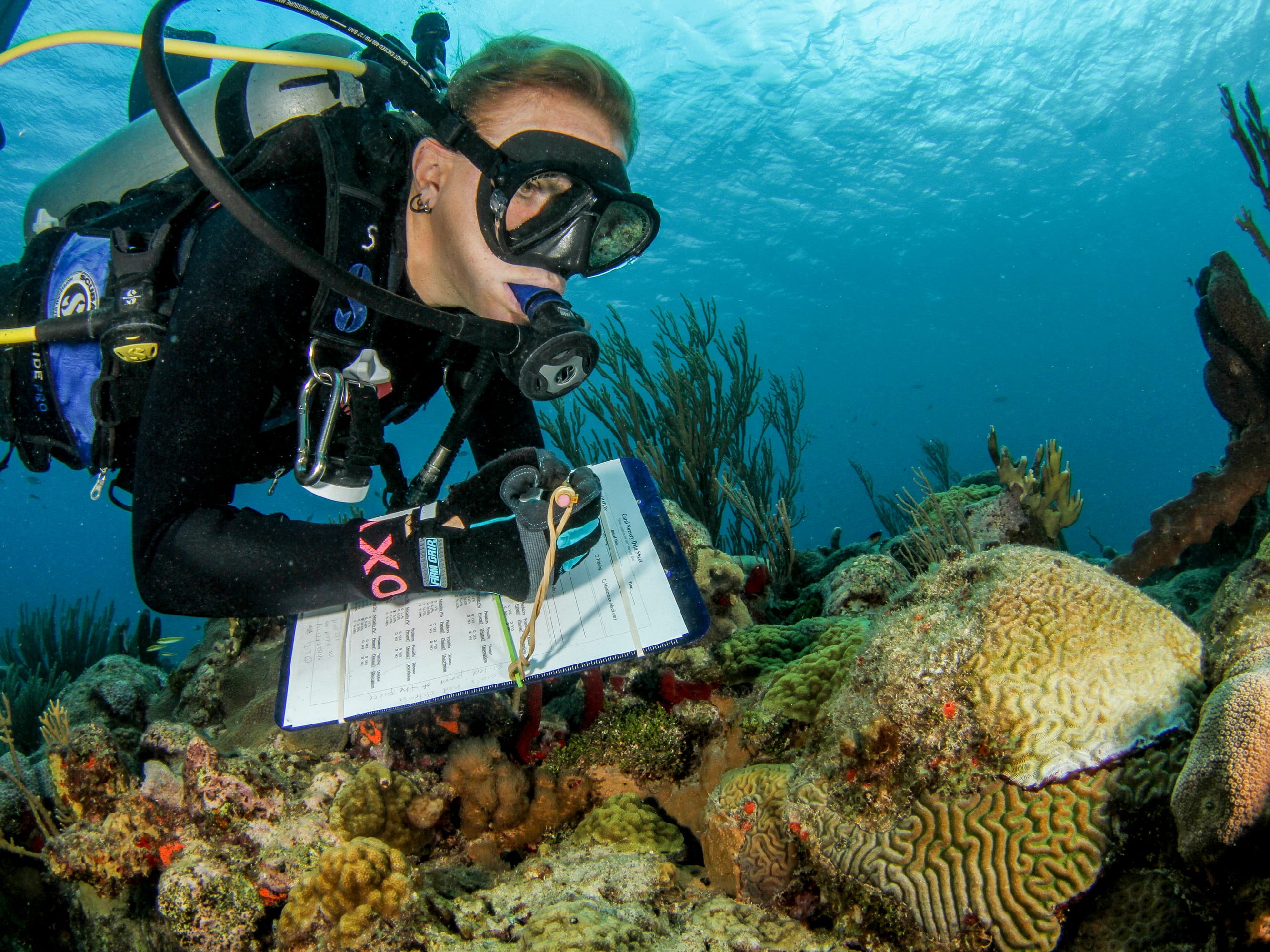 Ocean Unite, The Nature Conservancy Ocean Unite, The Nature ConservancyOcean Unite, The Nature Conservancy
