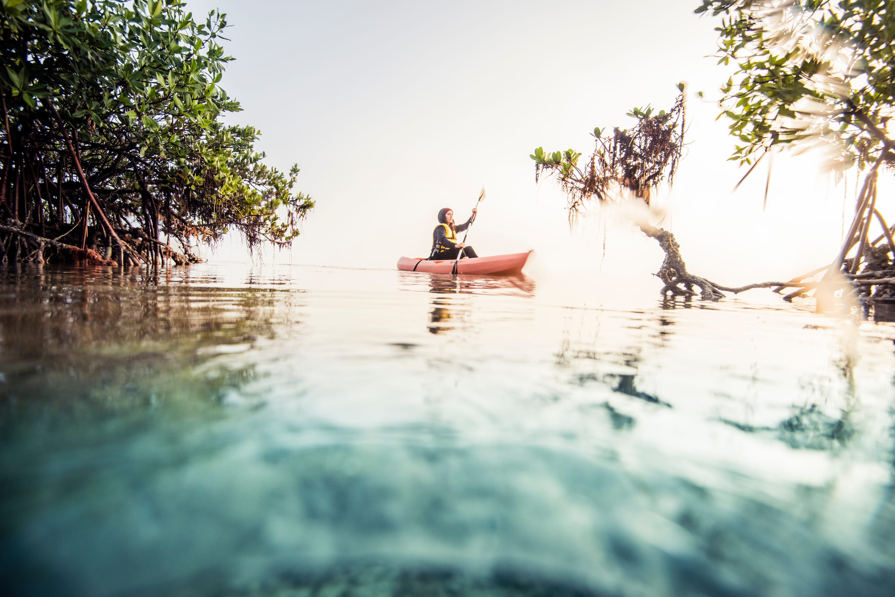 Ocean Unite, The Nature Conservancy Ocean Unite, The Nature Conservancy