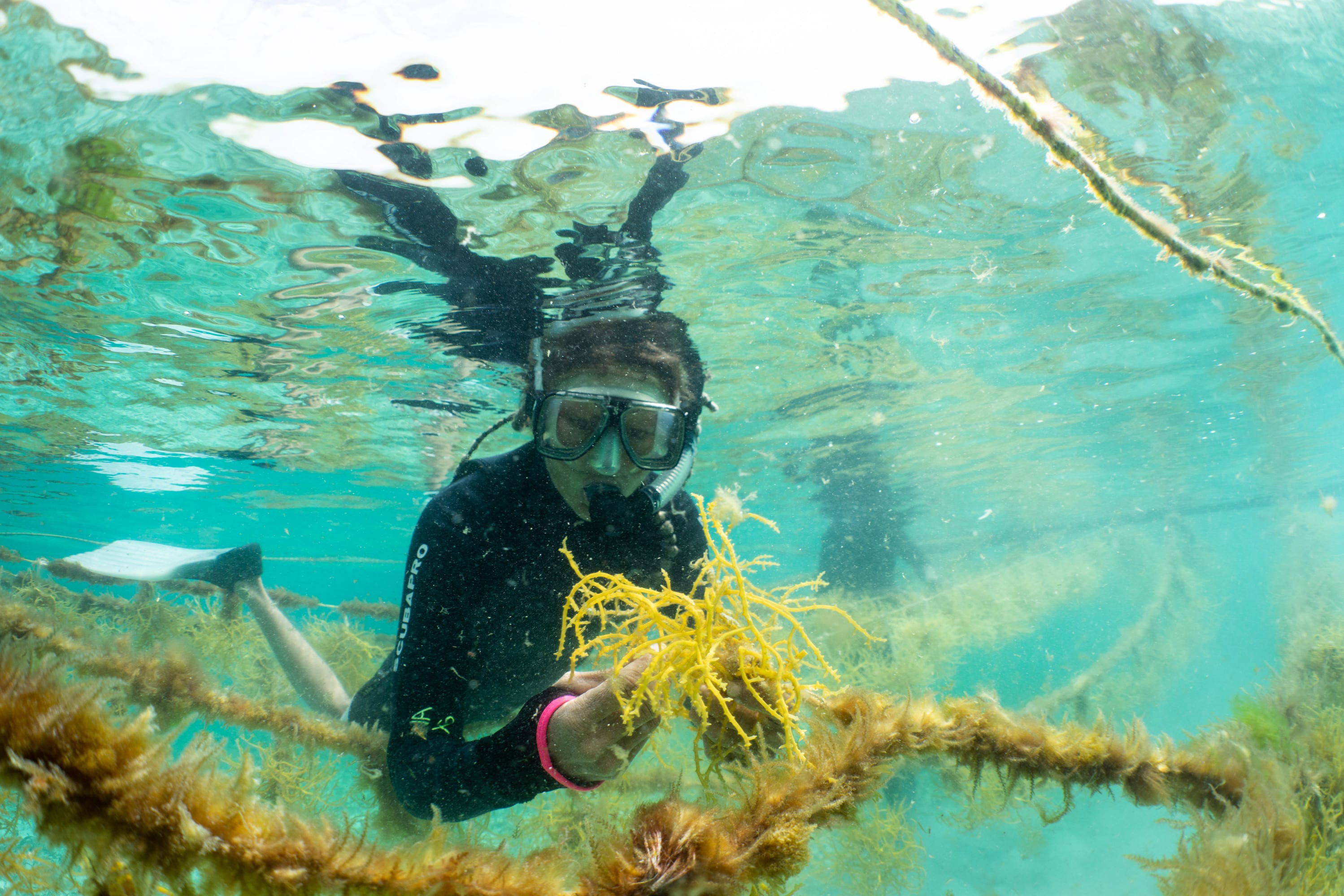 Ocean Unite, The Nature Conservancy Ocean Unite, The Nature Conservancy