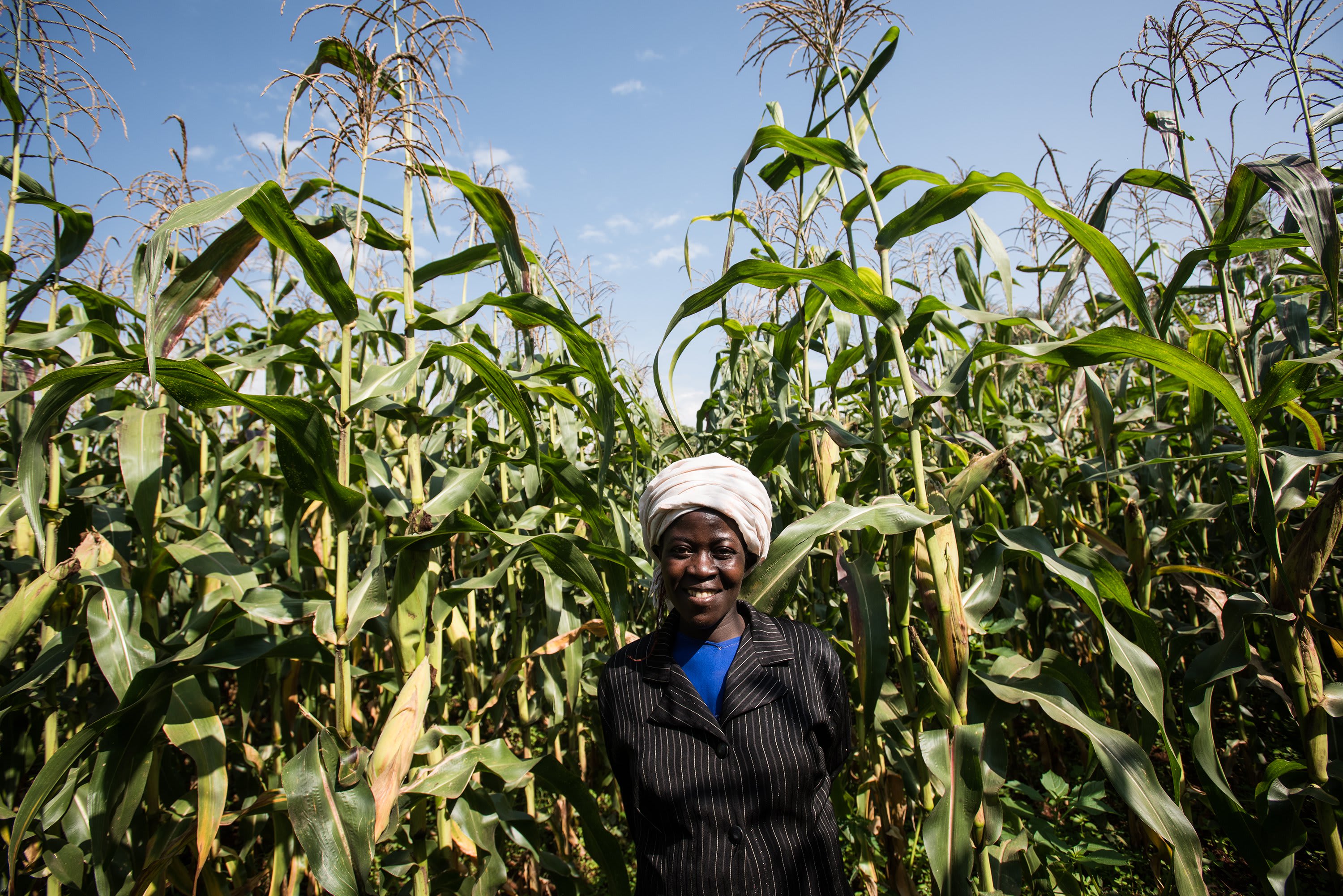 One Acre Fund, Audacious Project One Acre Fund, Audacious Project
