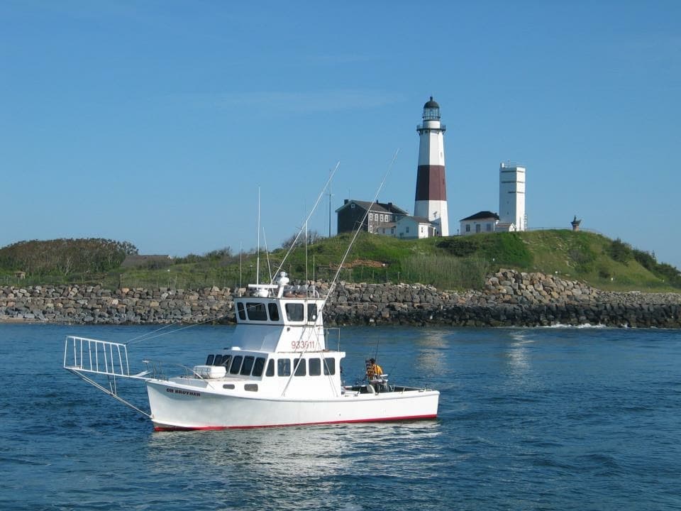 Virgin Unite, Ocean Unite, Dock to Dish