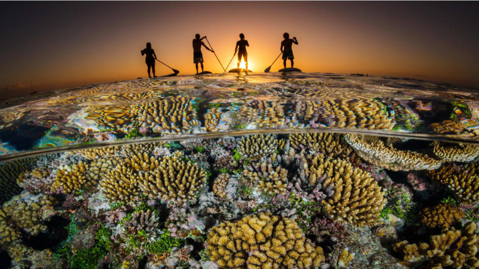 Ocean Unite, Coral, Dorian Ocean Unite, Coral, Dorian