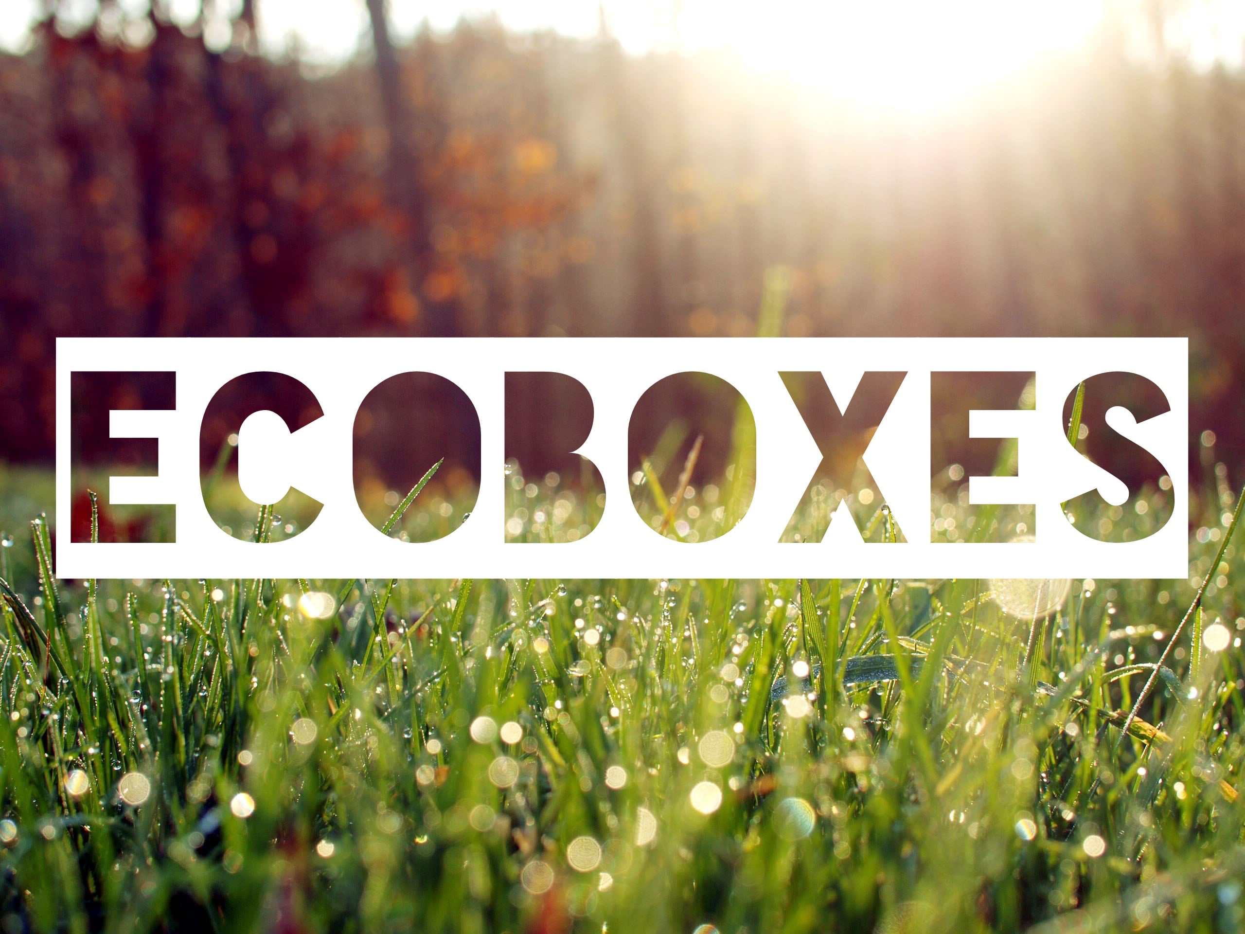 Virgin Unite, EcoBoxes, Next Gen Workspaces