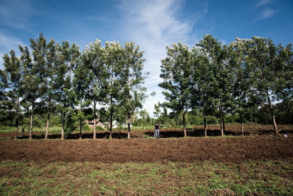 Virgin Unite, Sustainability, One Acre Fund