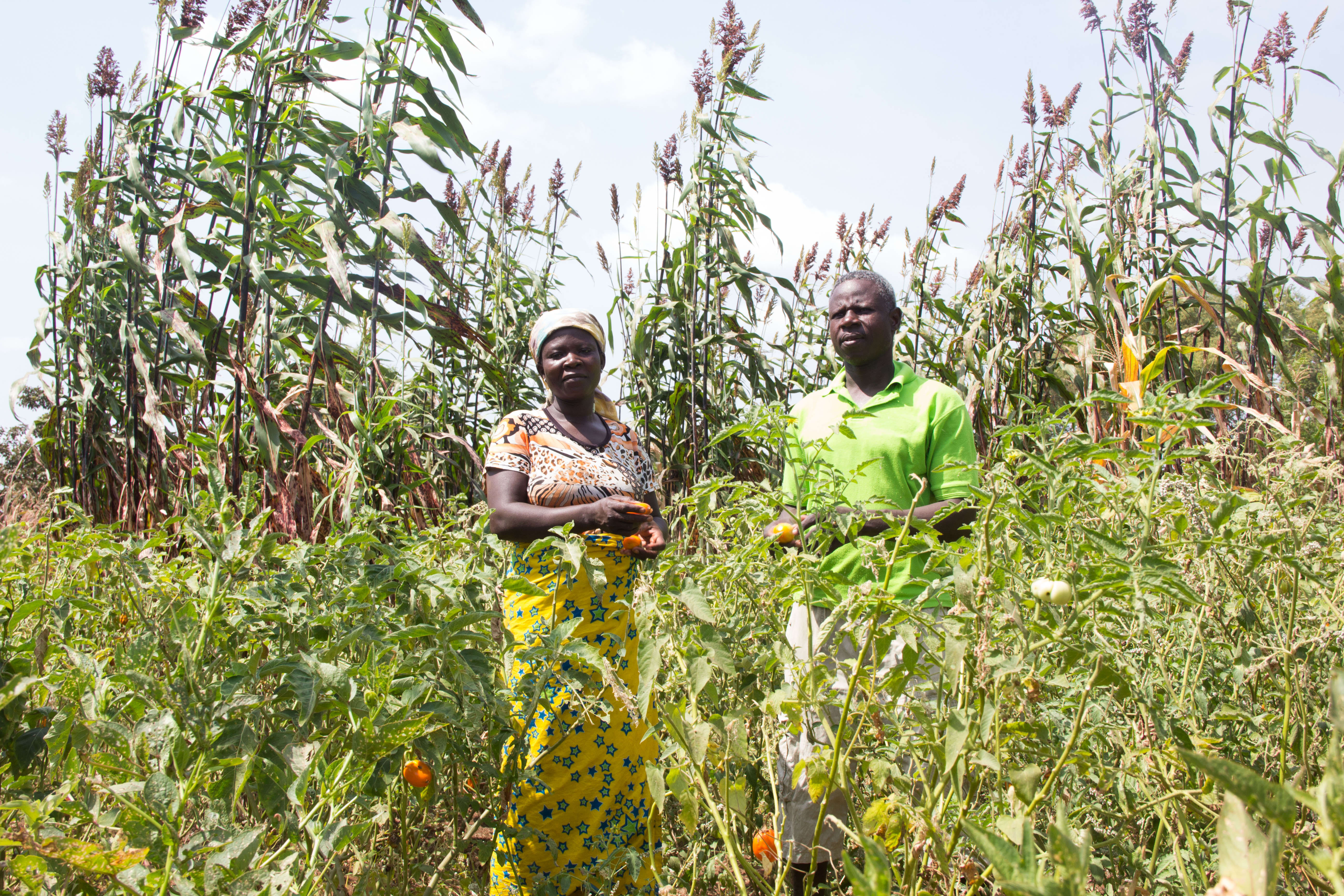 Virgin Unite, climate and conservation, ignitia2