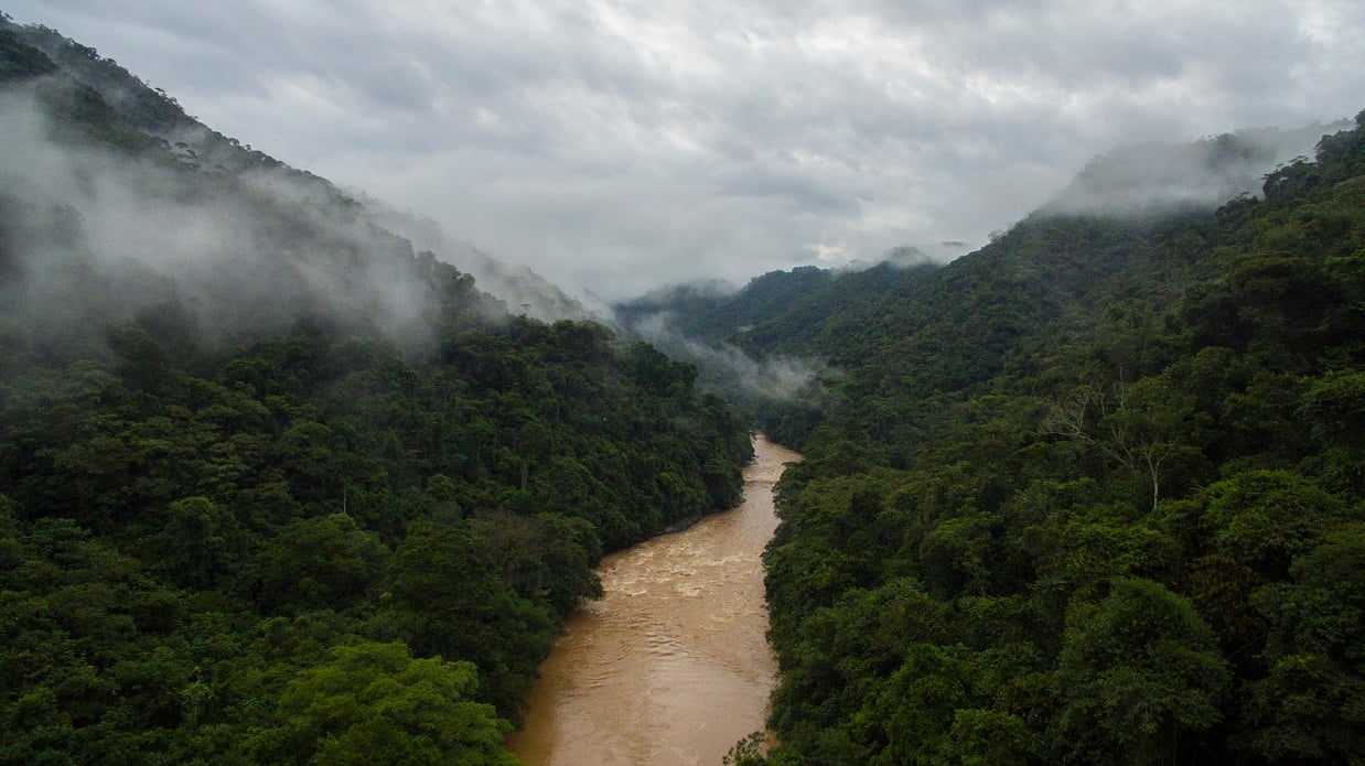 Virgin Unite, wildlife conservation, samana river