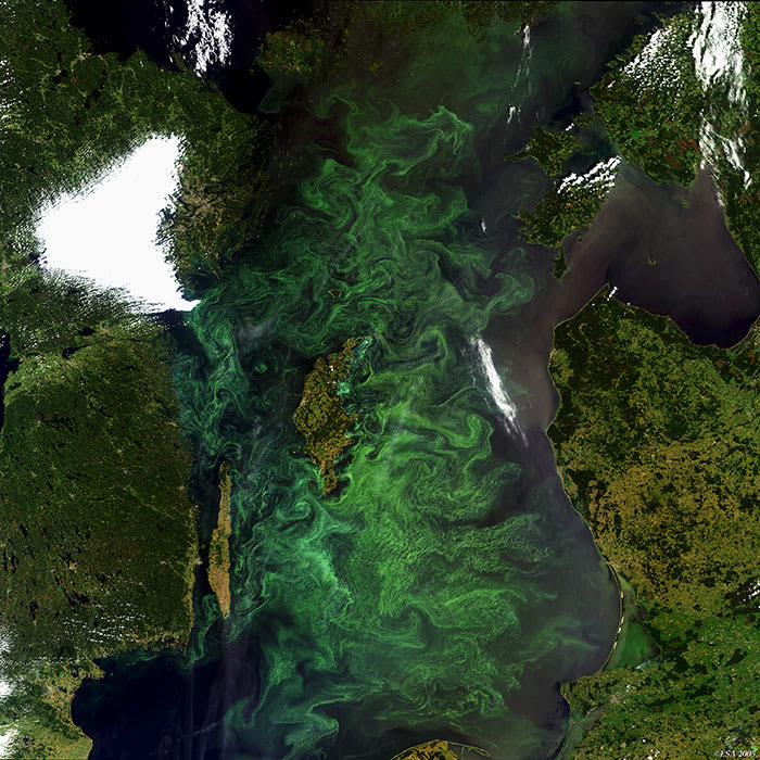 ocean unite, Deoxygenation ocean unite, Deoxygenation