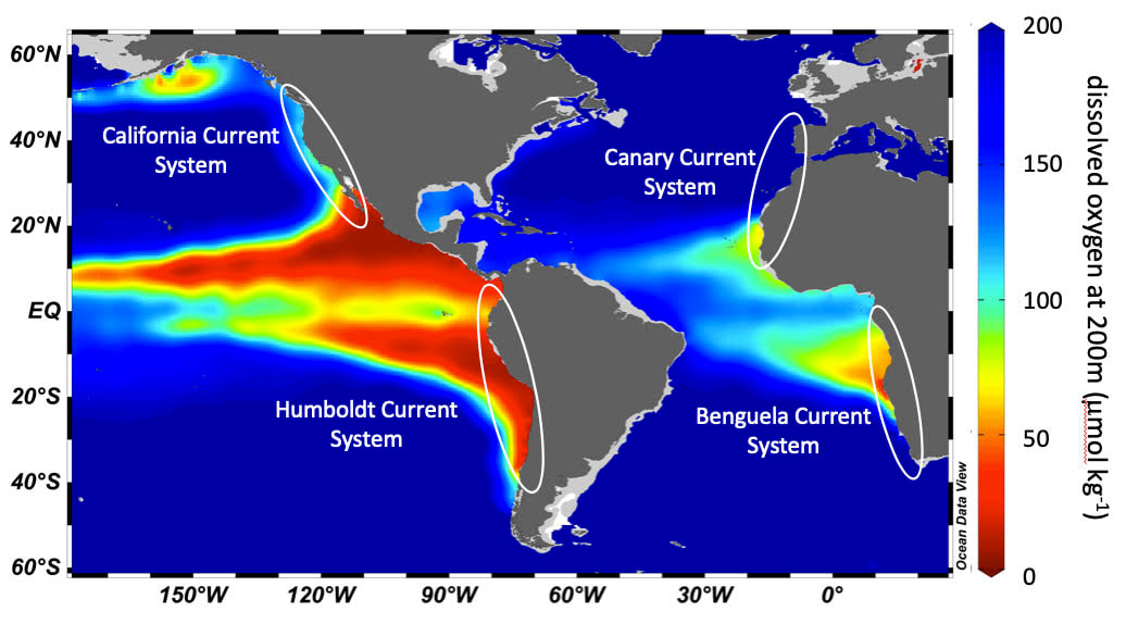 ocean unite, Deoxygenation ocean unite, Deoxygenation