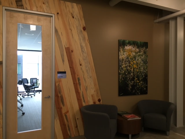Virgin Unite, Rocky Mountain Institute, Boulder