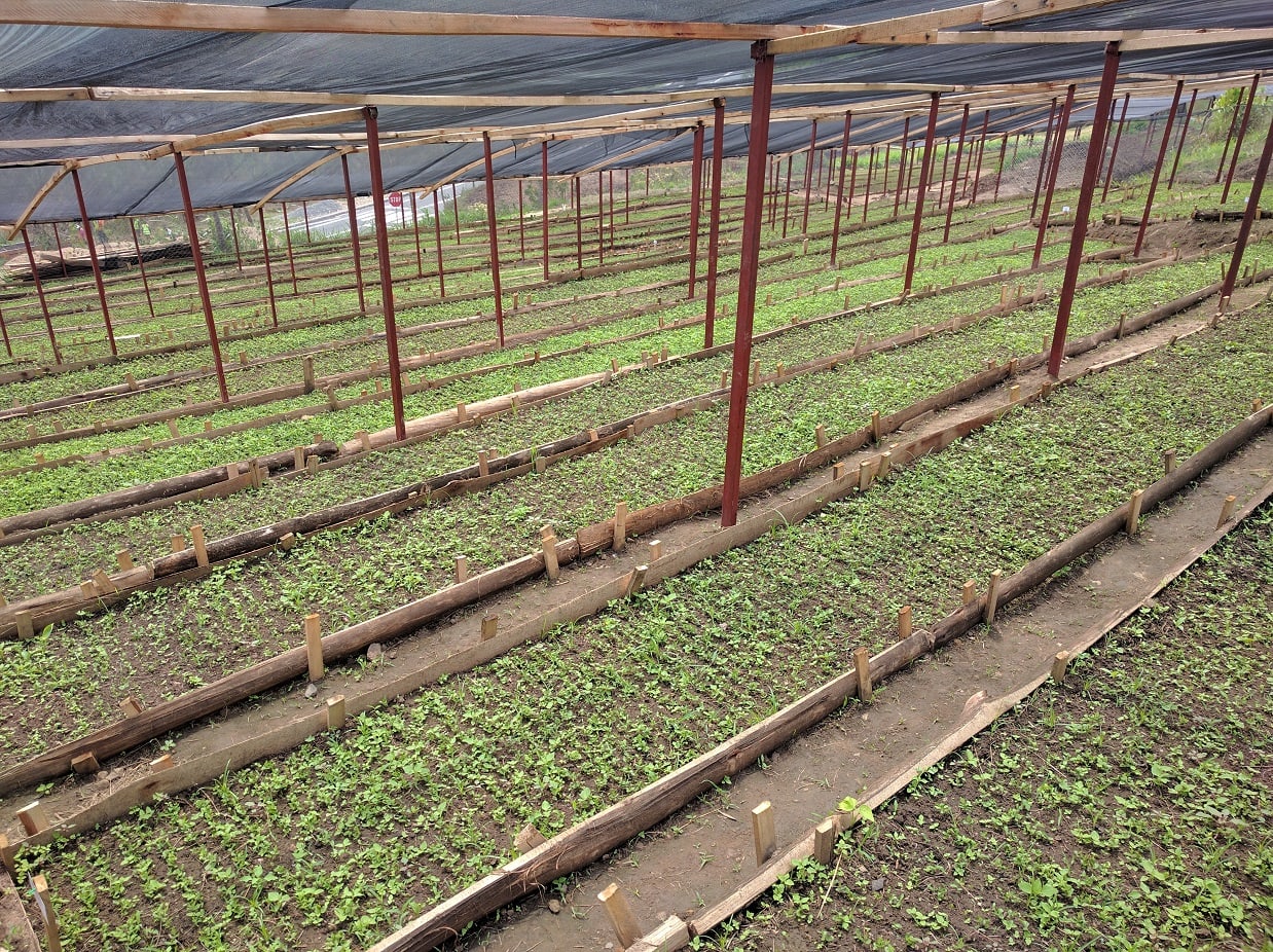 Virgin Unite, Sustainabilty, One Acre Fund