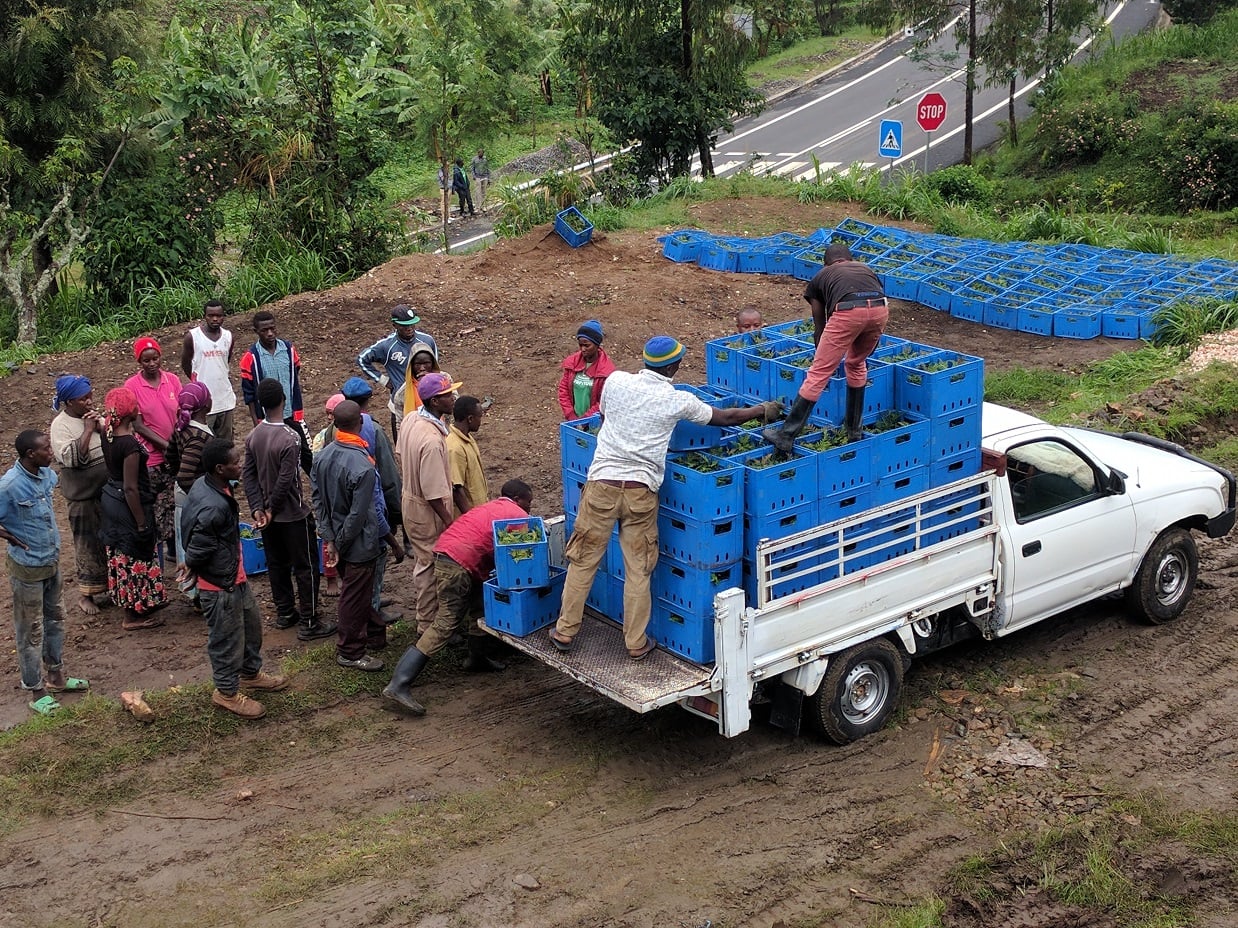 Virgin Unite, Sustainability, One Acre Fund