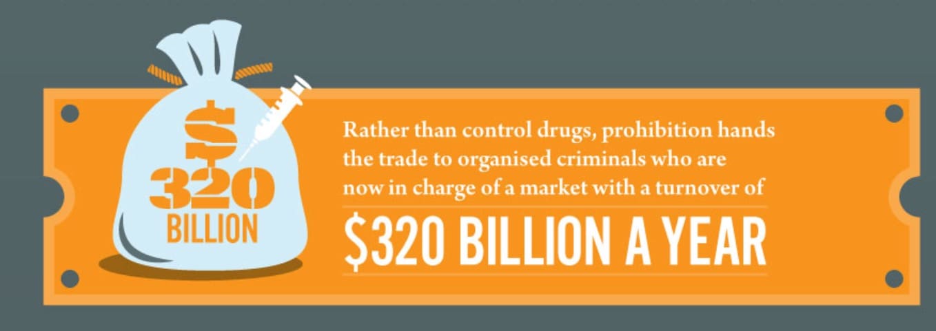 Virgin Unite, drug policy reform, steve rolles