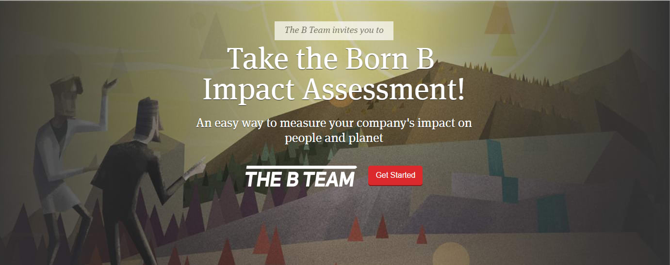 Virgin Unite, The B Team, Impact Assessment