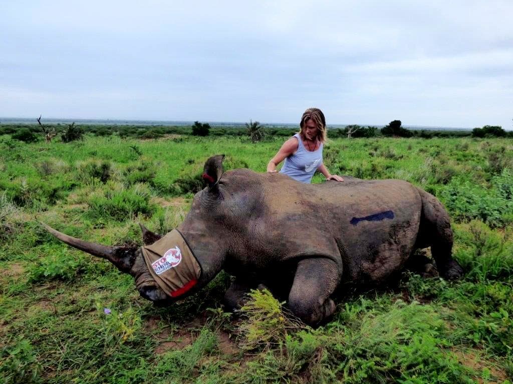 Virgin Unite, Animal Conservation, Rhinos, Jamie Joseph