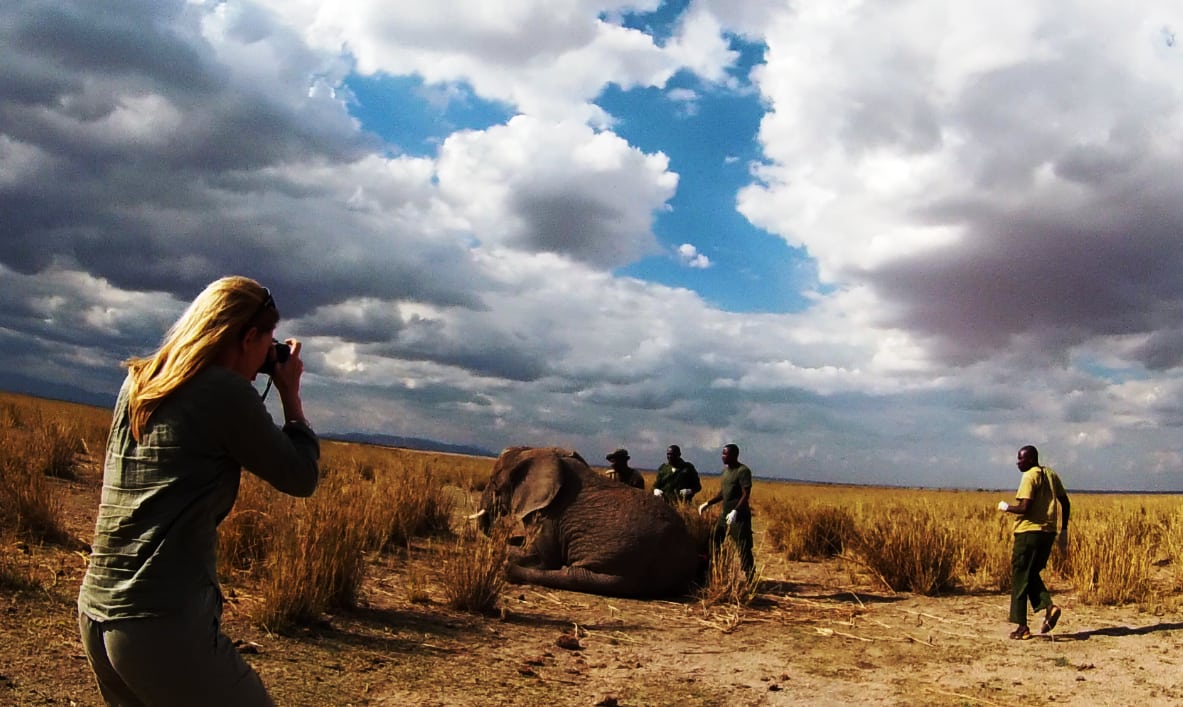 Virgin Unite, Animal Conservation, Rhinos, Jamie Joseph