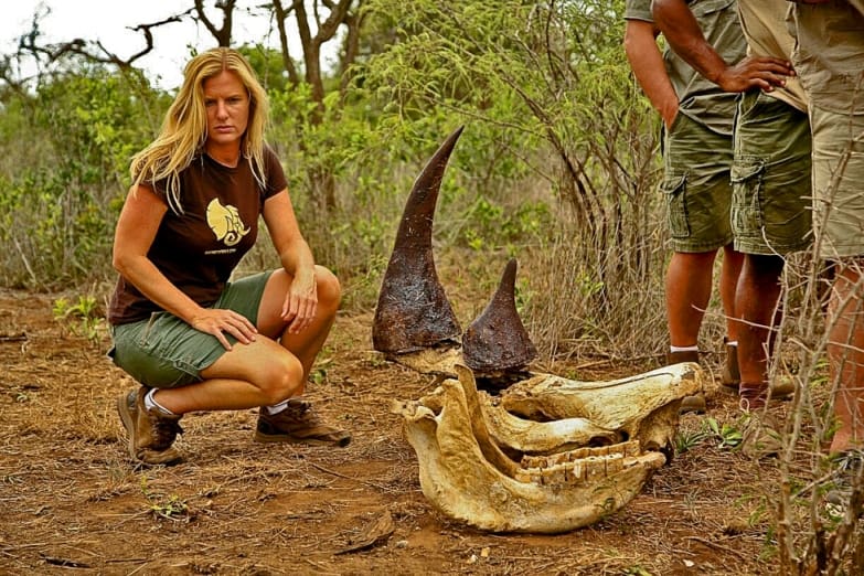 Virgin Unite, Animal Conservation, Rhinos, Jamie Joseph