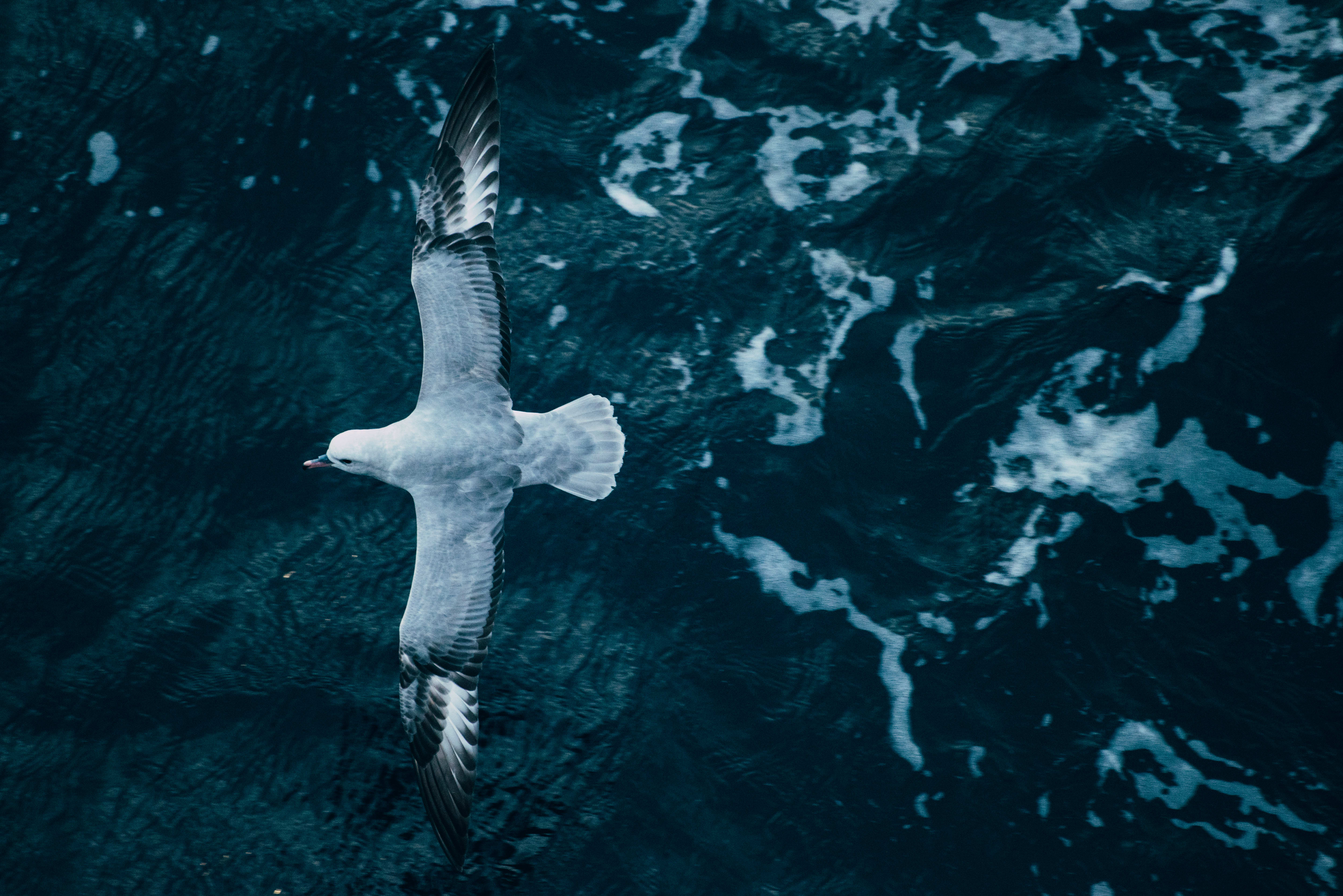 Virgin Unite, Ocean Unite, Oceans, Antarctica, Lewis Pugh