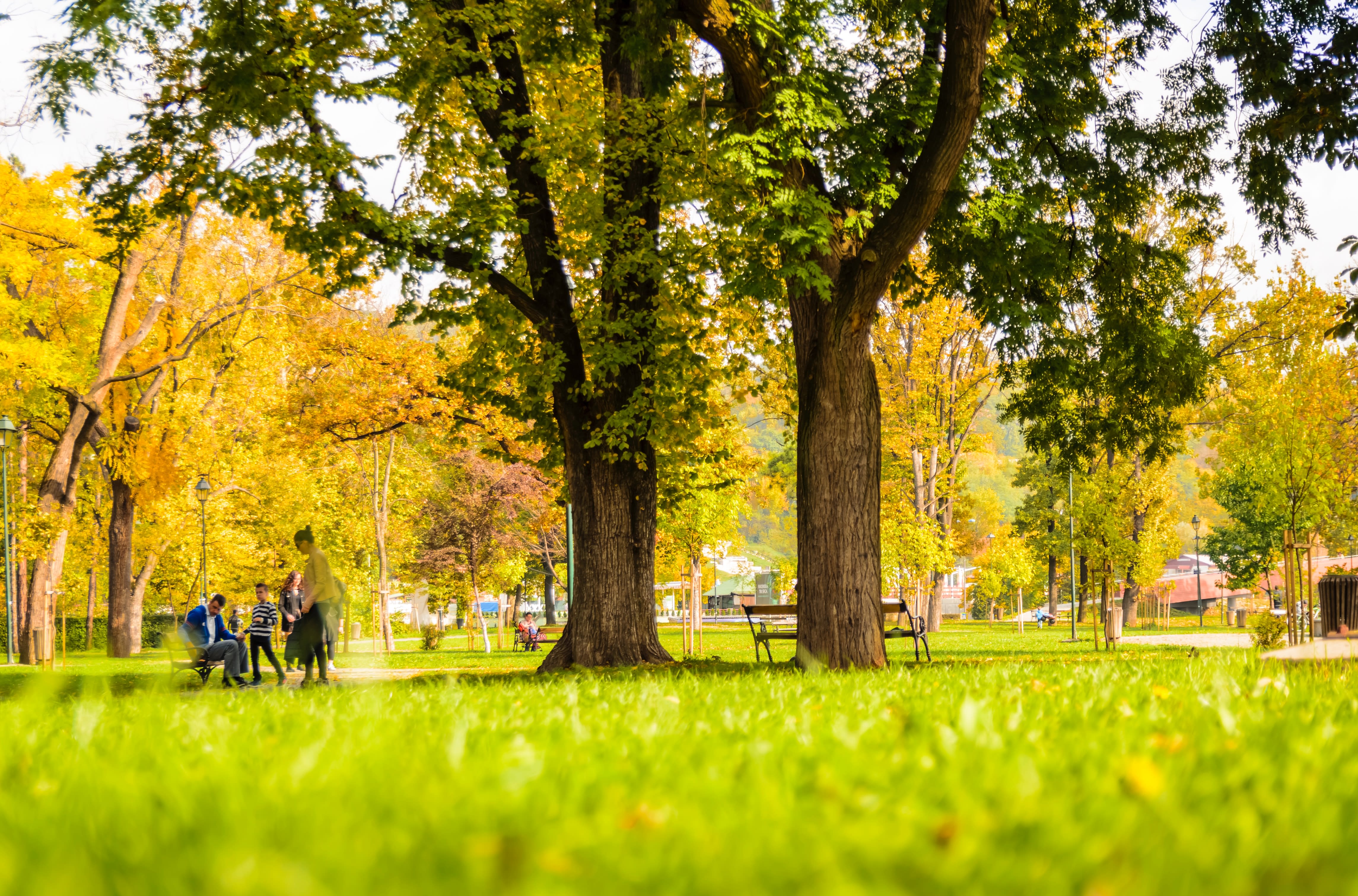 Park ""