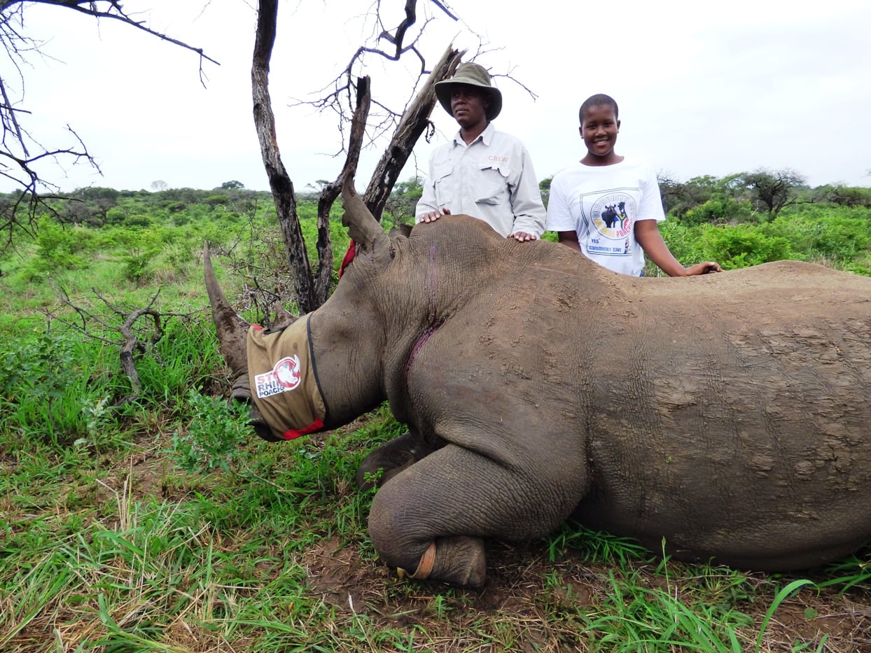 Virgin Unite, Animal Conservation, Rhinos, Jamie Joseph