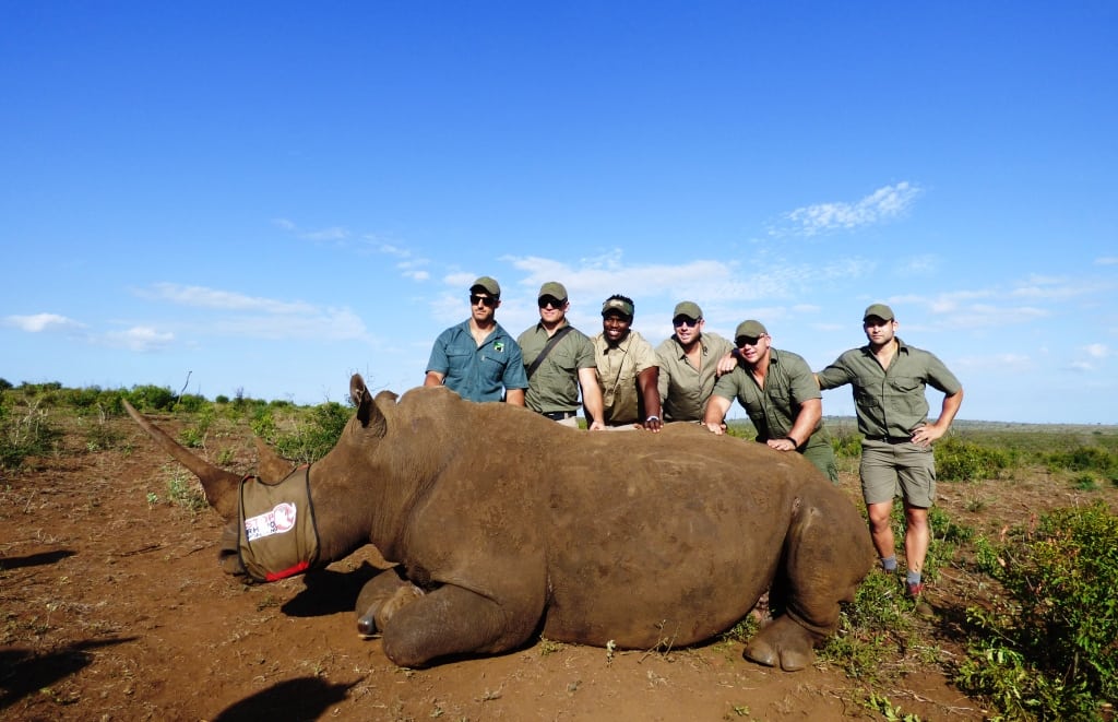 Virgin Unite, conservation, poaching, rhinos, Saving the Wild2016 7