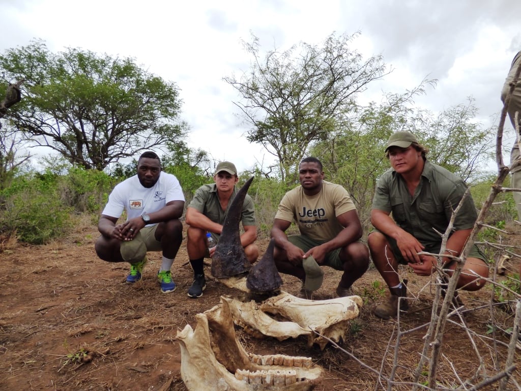 Virgin Unite, conservation, poaching, rhinos, Saving the Wild2016 6