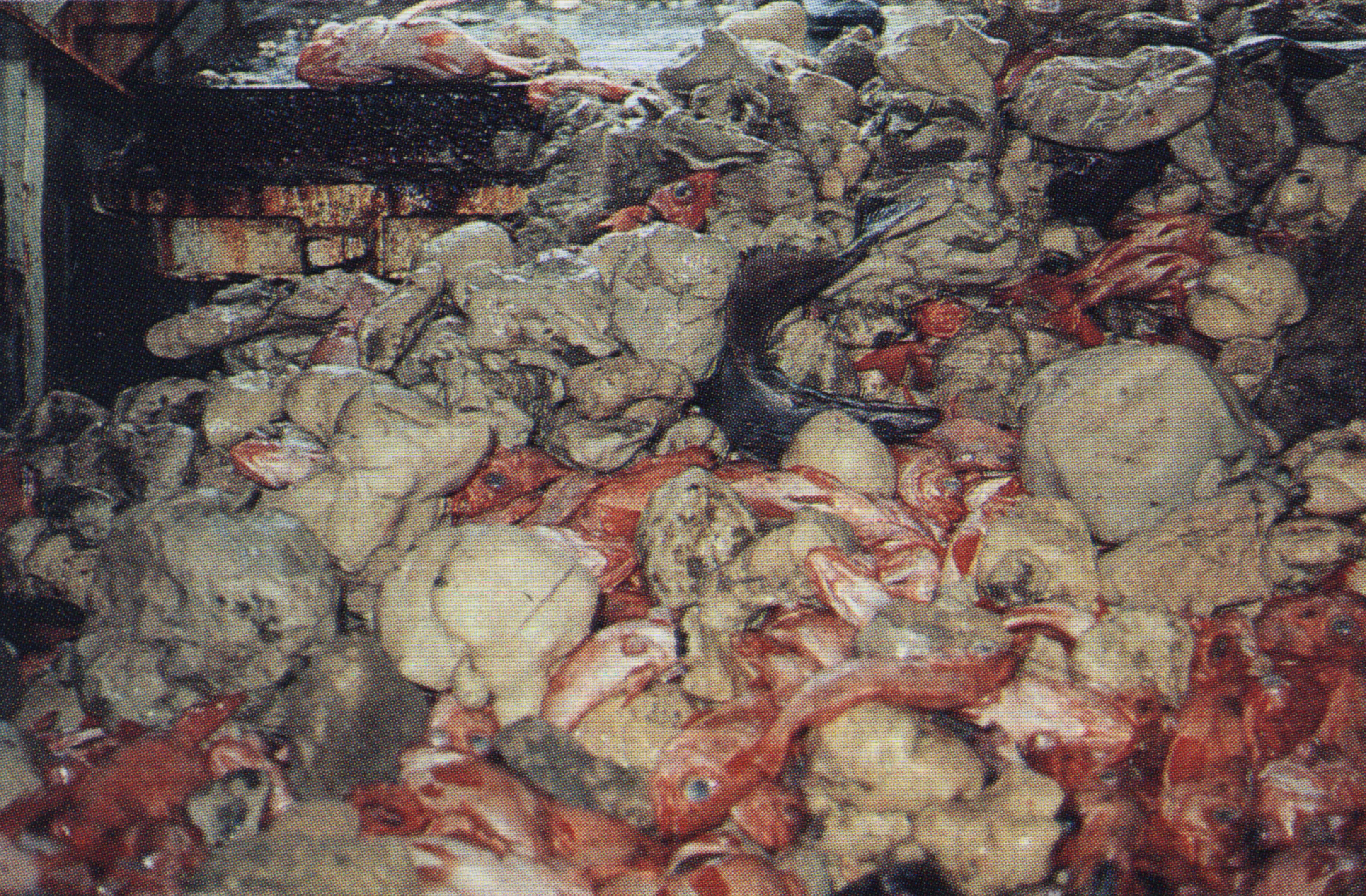 Virgin Unite, Ocean Unite, Oceans, Conservation, Bottom Trawling