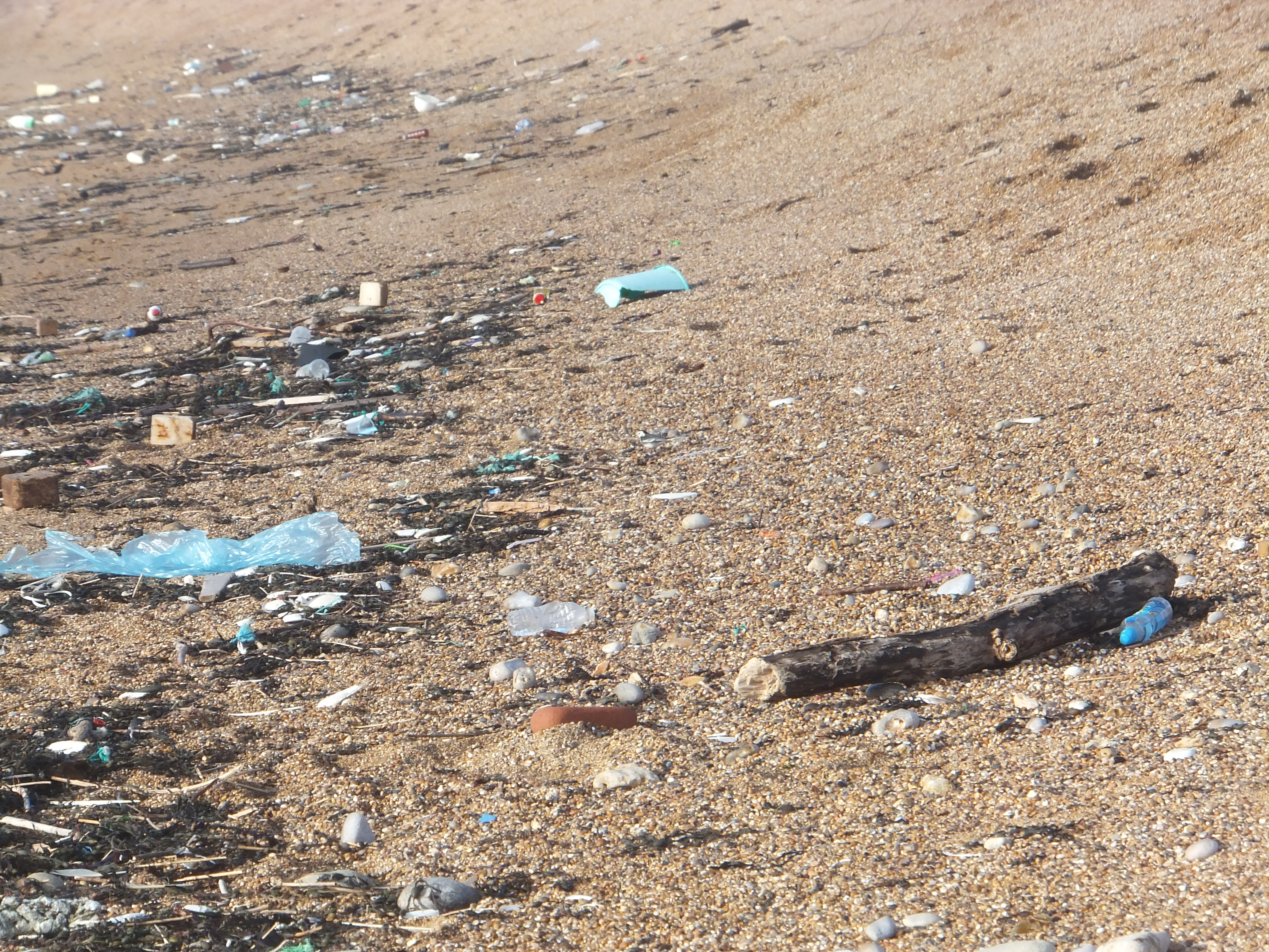 rubbish, ocean unite, dan laffoley rubbish, ocean unite, dan laffoley
