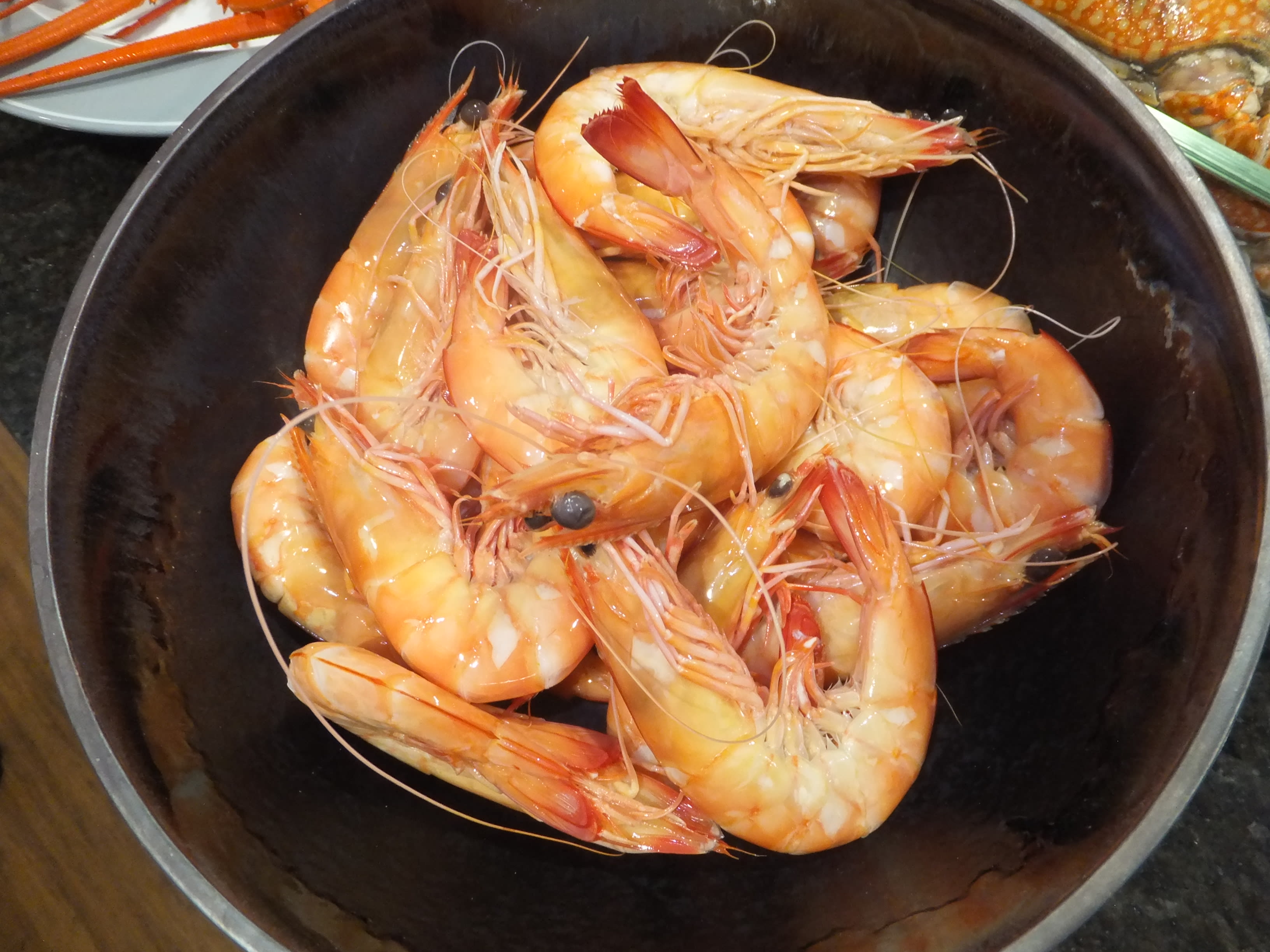 shrimp, ocean unite, iucn shrimp, ocean unite, iucn