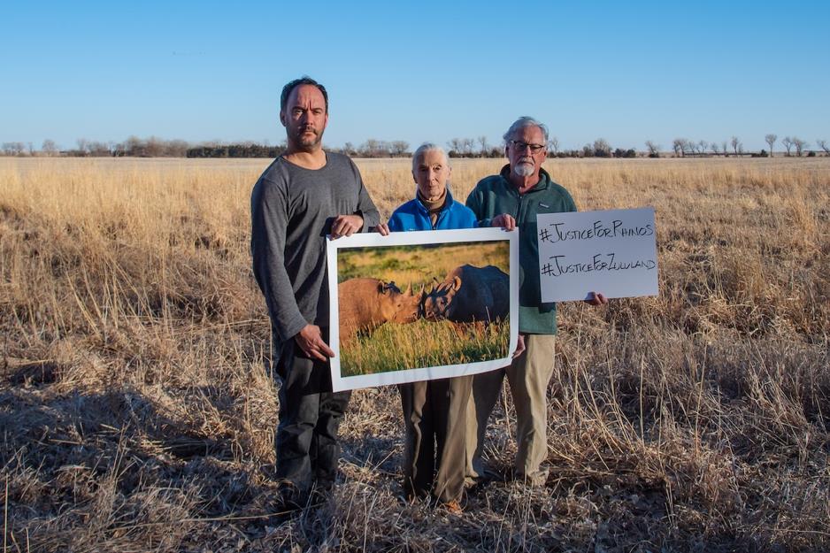 Saving the Wild, Rhinos Saving the Wild, Rhinos
