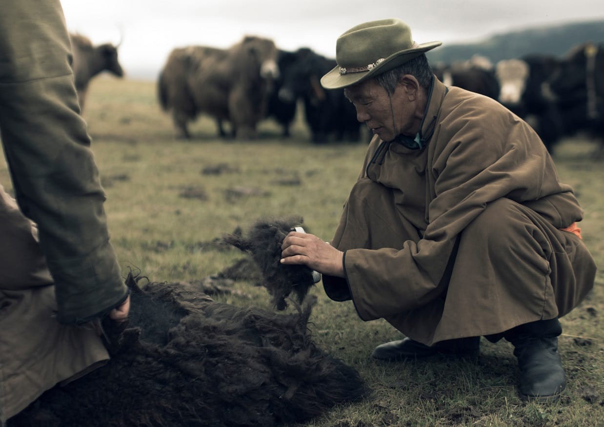 Virgin Unite, sustainability, sustainia, tengri