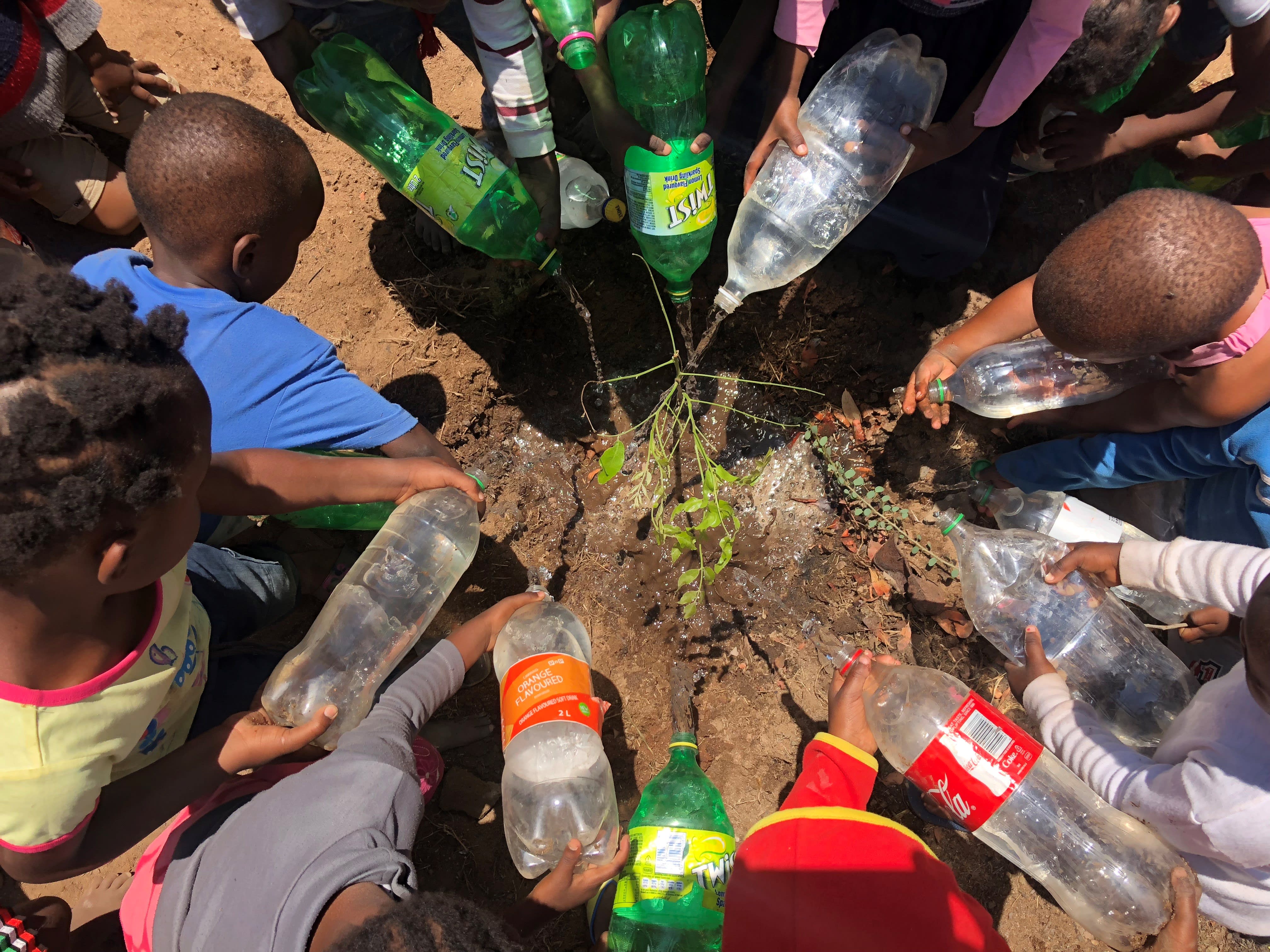 Pride n Purpose Planting Trees - Pride n Purpose