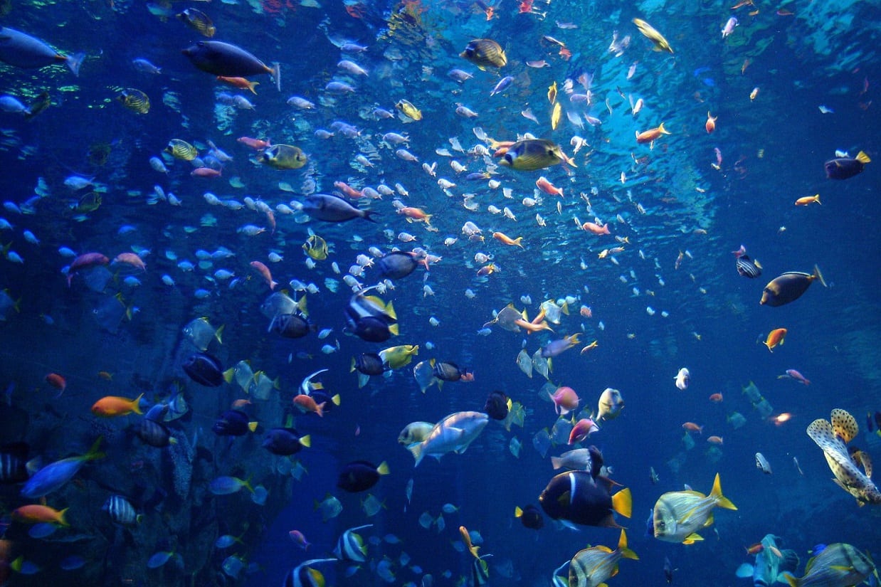 Virgin Unite, Ocean Unite, Health