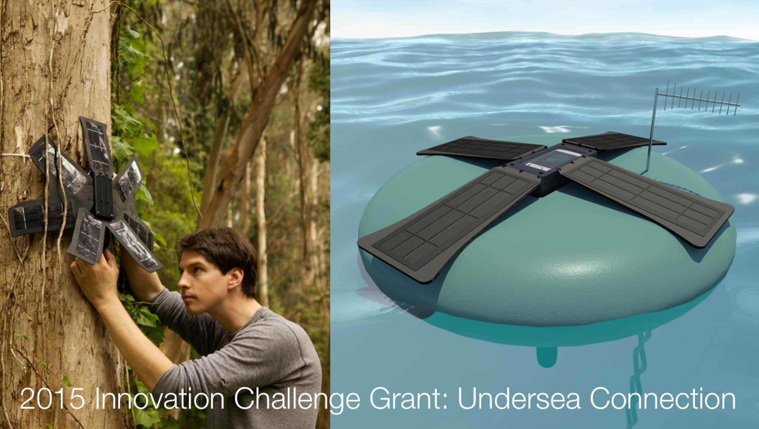 Virgin Unite, Ocean conservation, Undersea Connection Virgin Unite, Ocean conservation, Undersea Connection