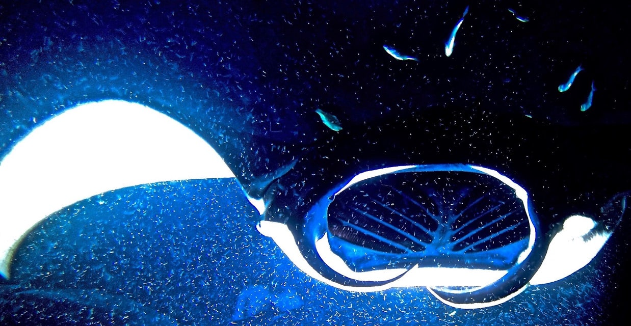 Virgin Unite, Ocean Unite, Ocean, Kristin Hettermann