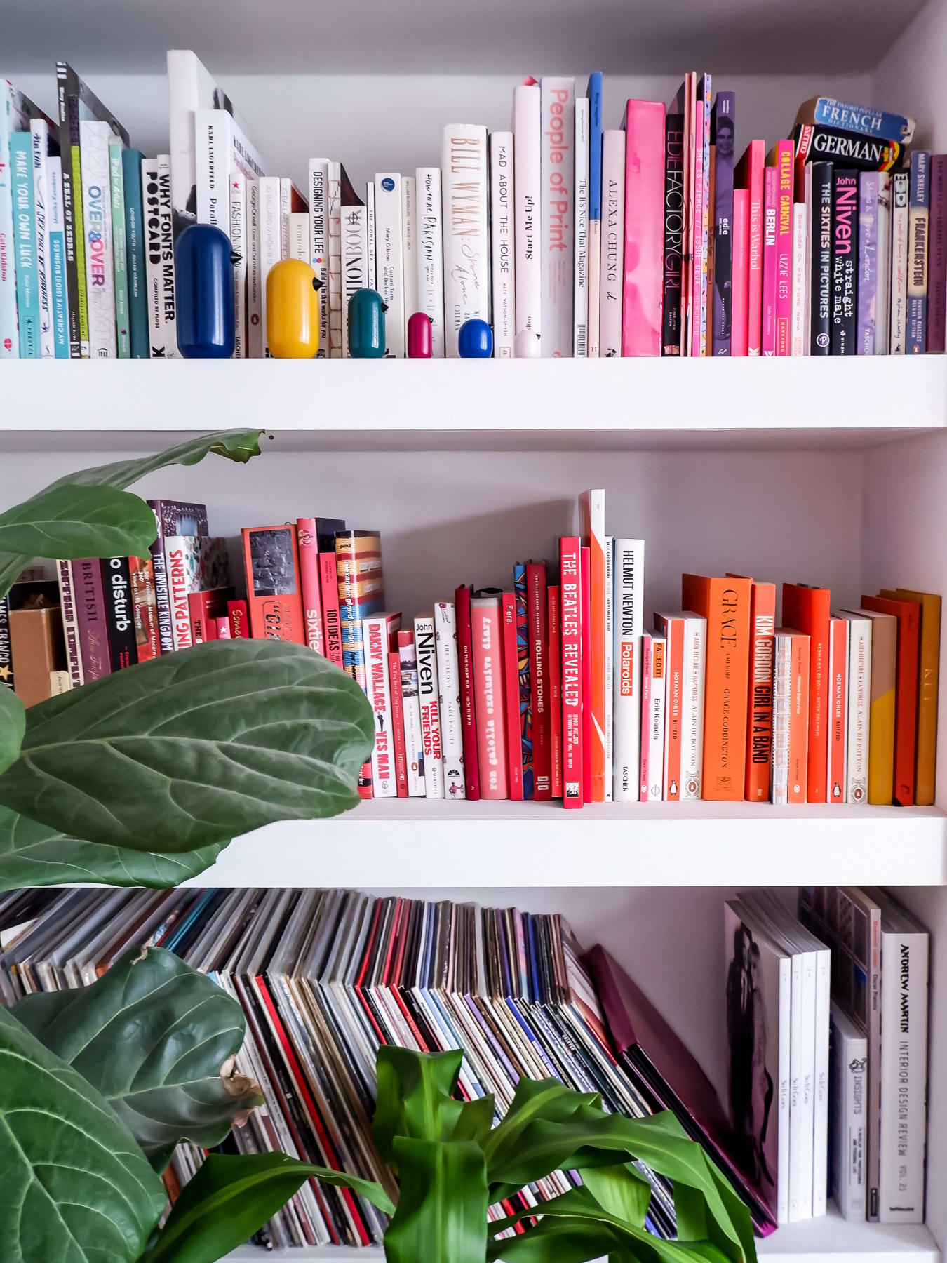 Shelfie courtesy of Emma Jane Palin Shelfie courtesy of Emma Jane Palin