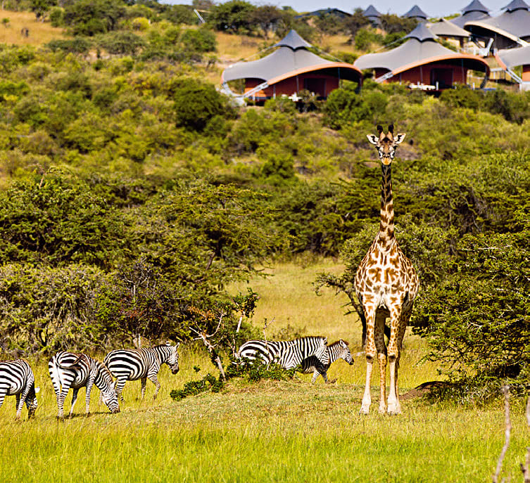 Mahali Mzuri Mahali Mzuri