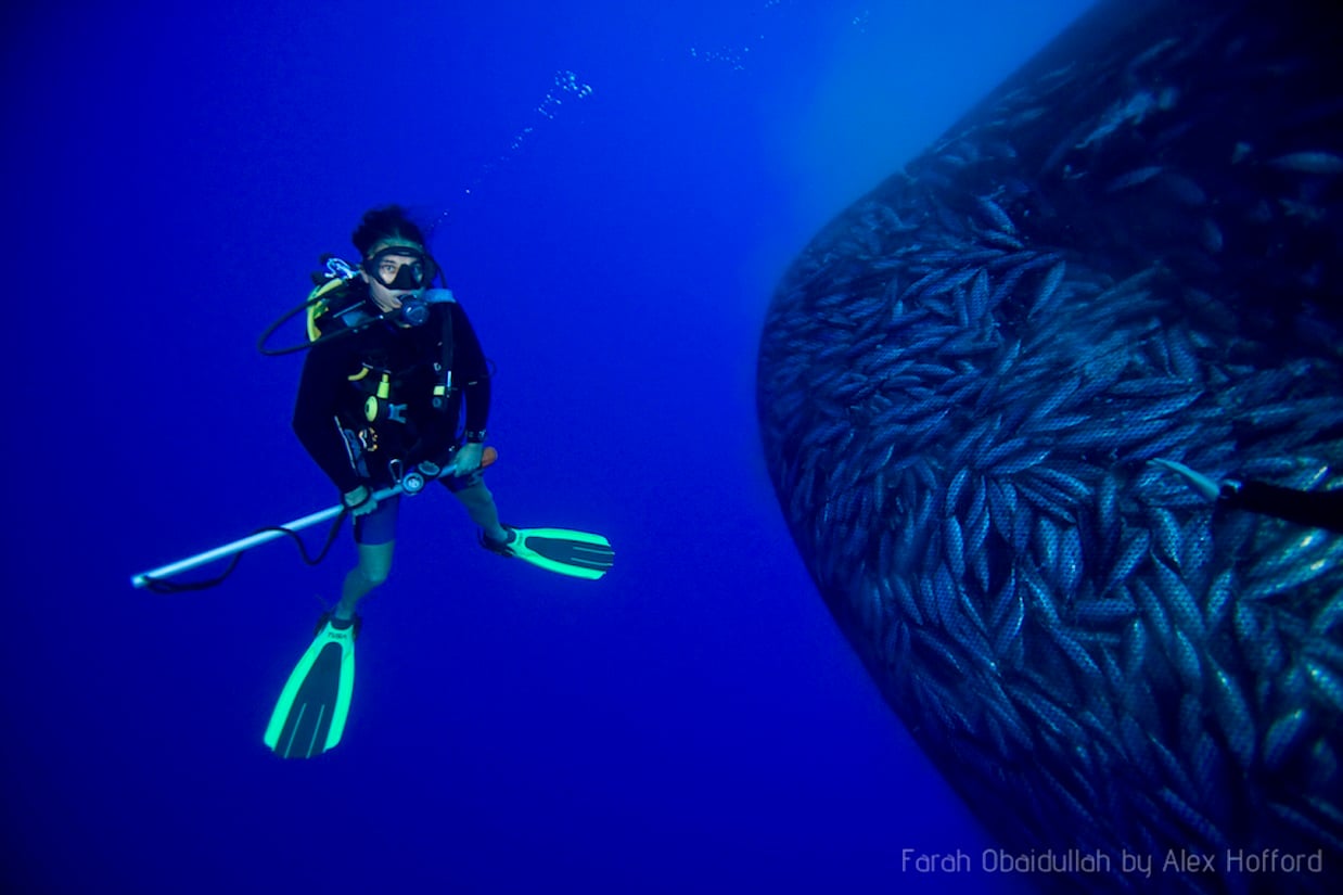 Virgin Unite, Ocean Unite. Ocean. Women 4 Oceans