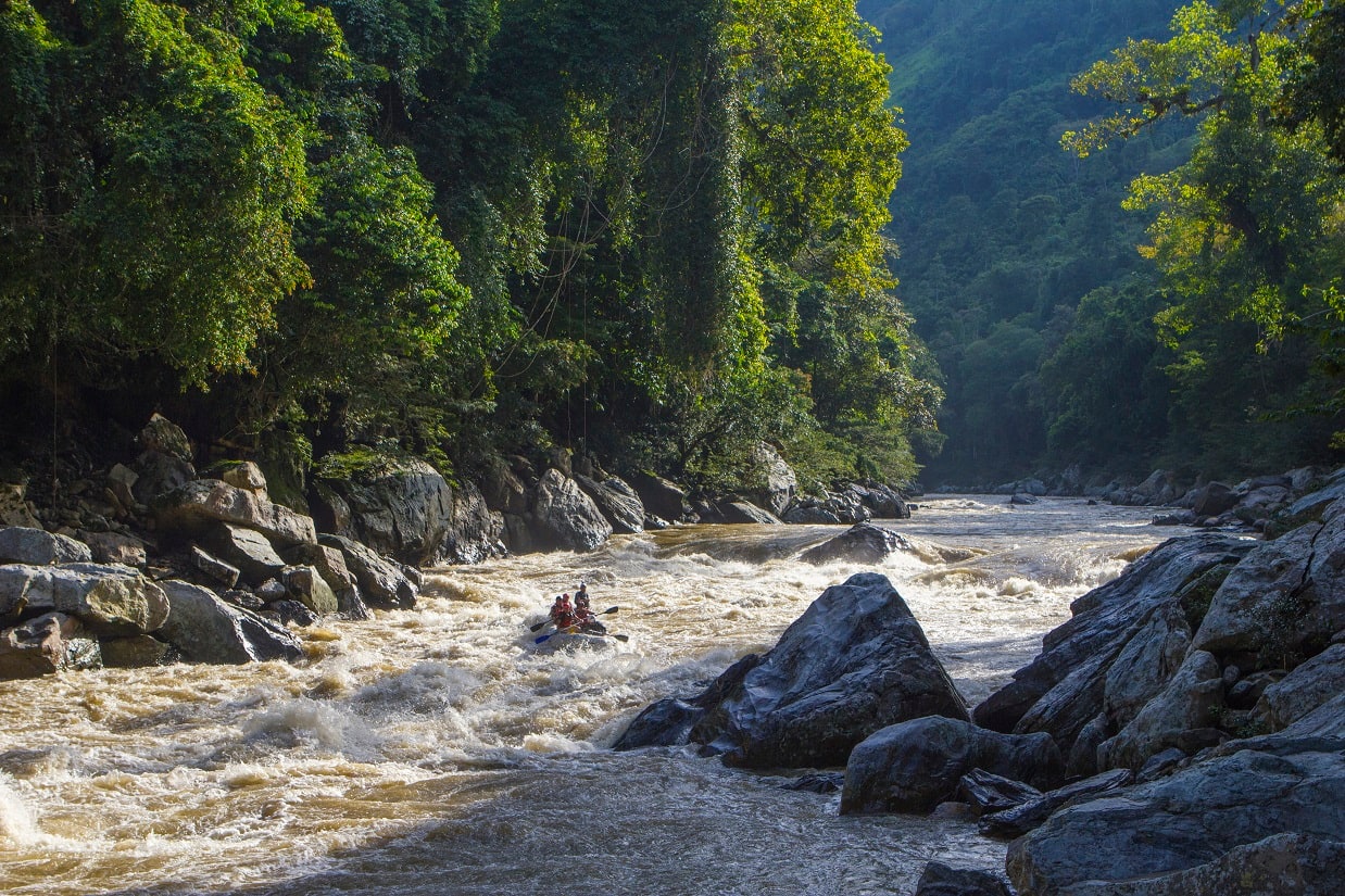Virgin Unite, wildlife conservation, samana river