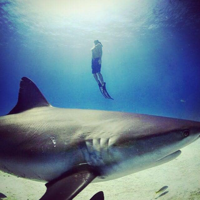 Virgin Unite, ocean, Rob Stewart