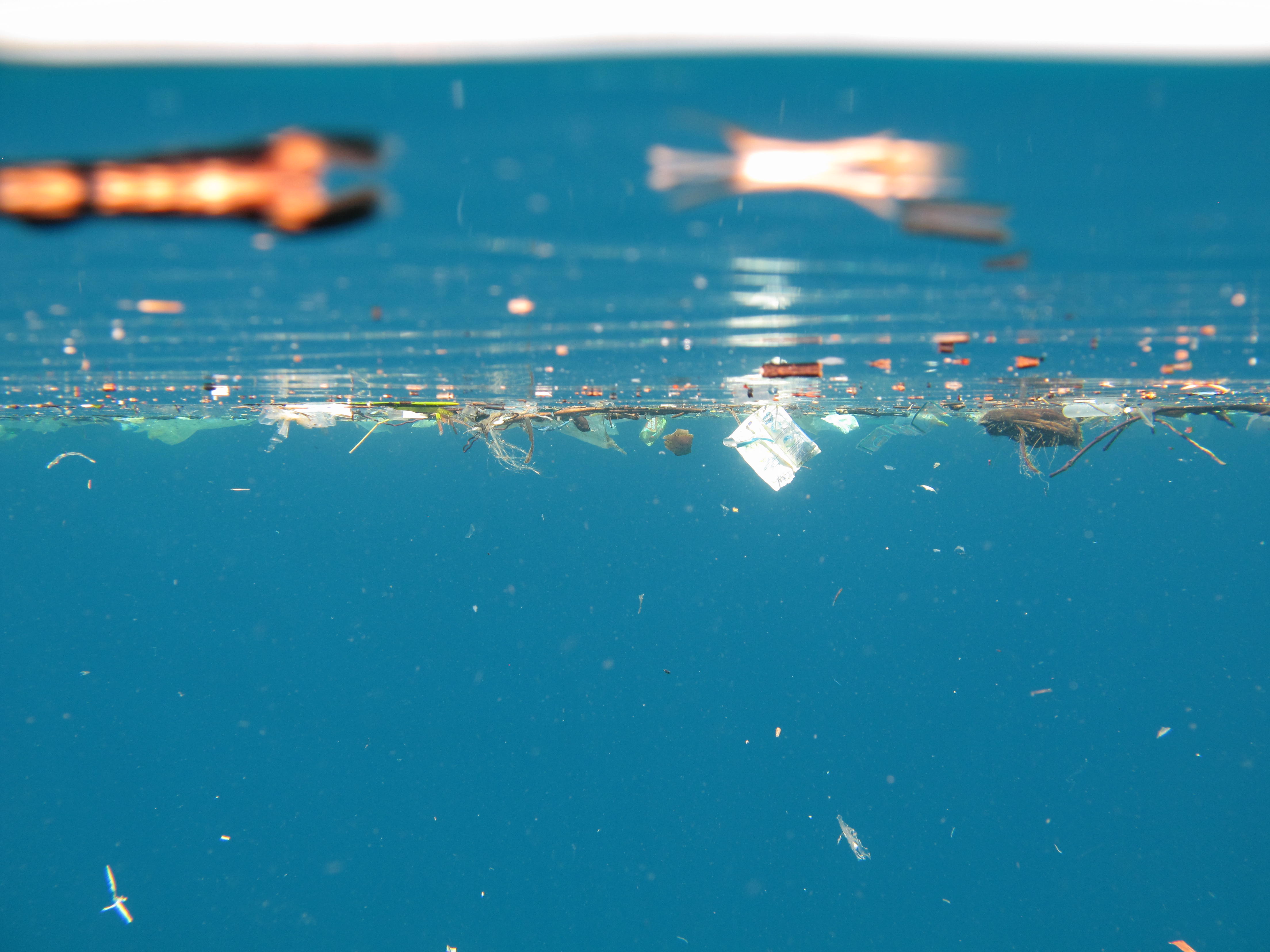 Virgin Unite, Ocean Unite, Ocean Conservation