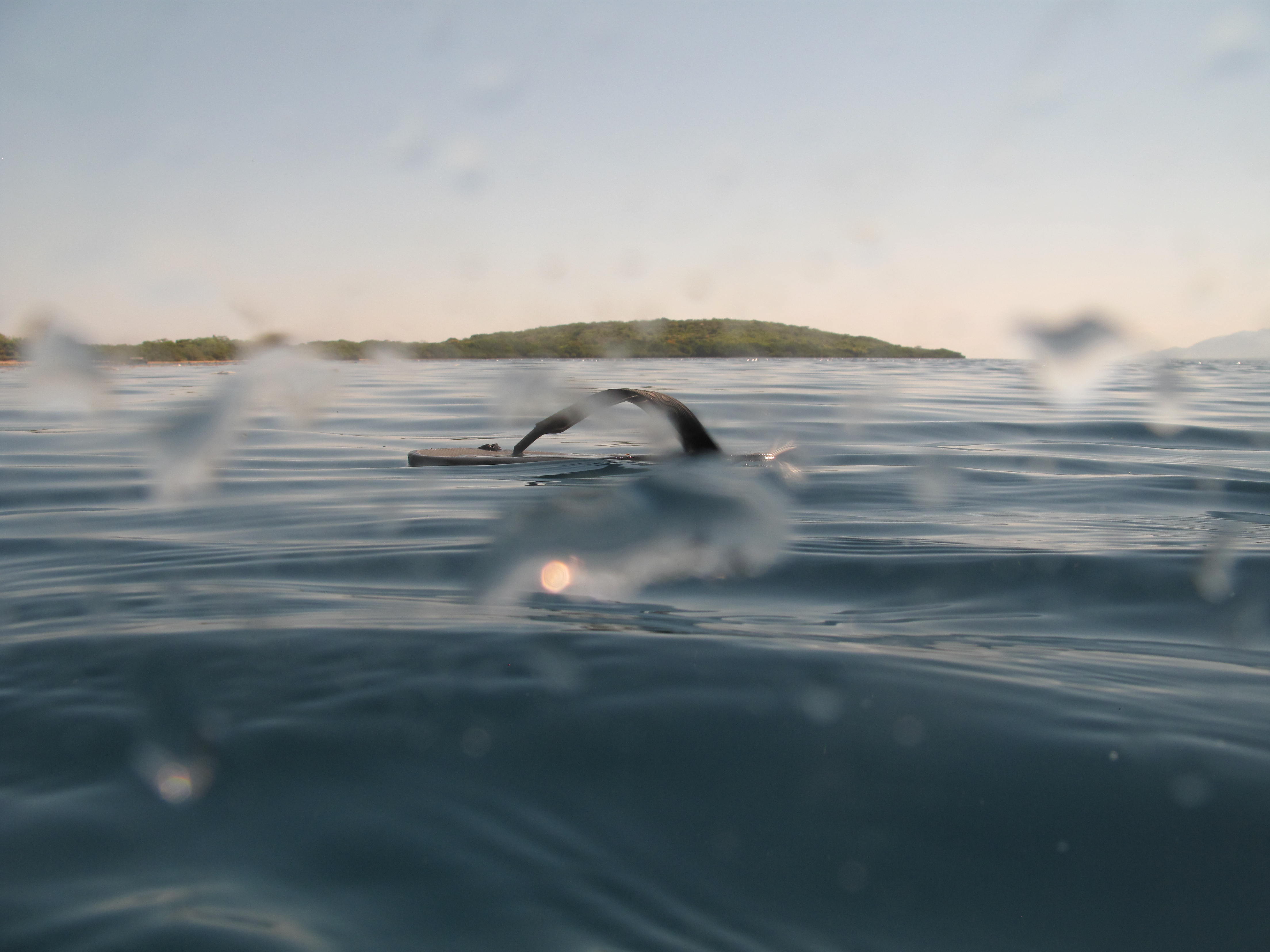 Virgin Unite, Ocean Unite, Ocean Conservation