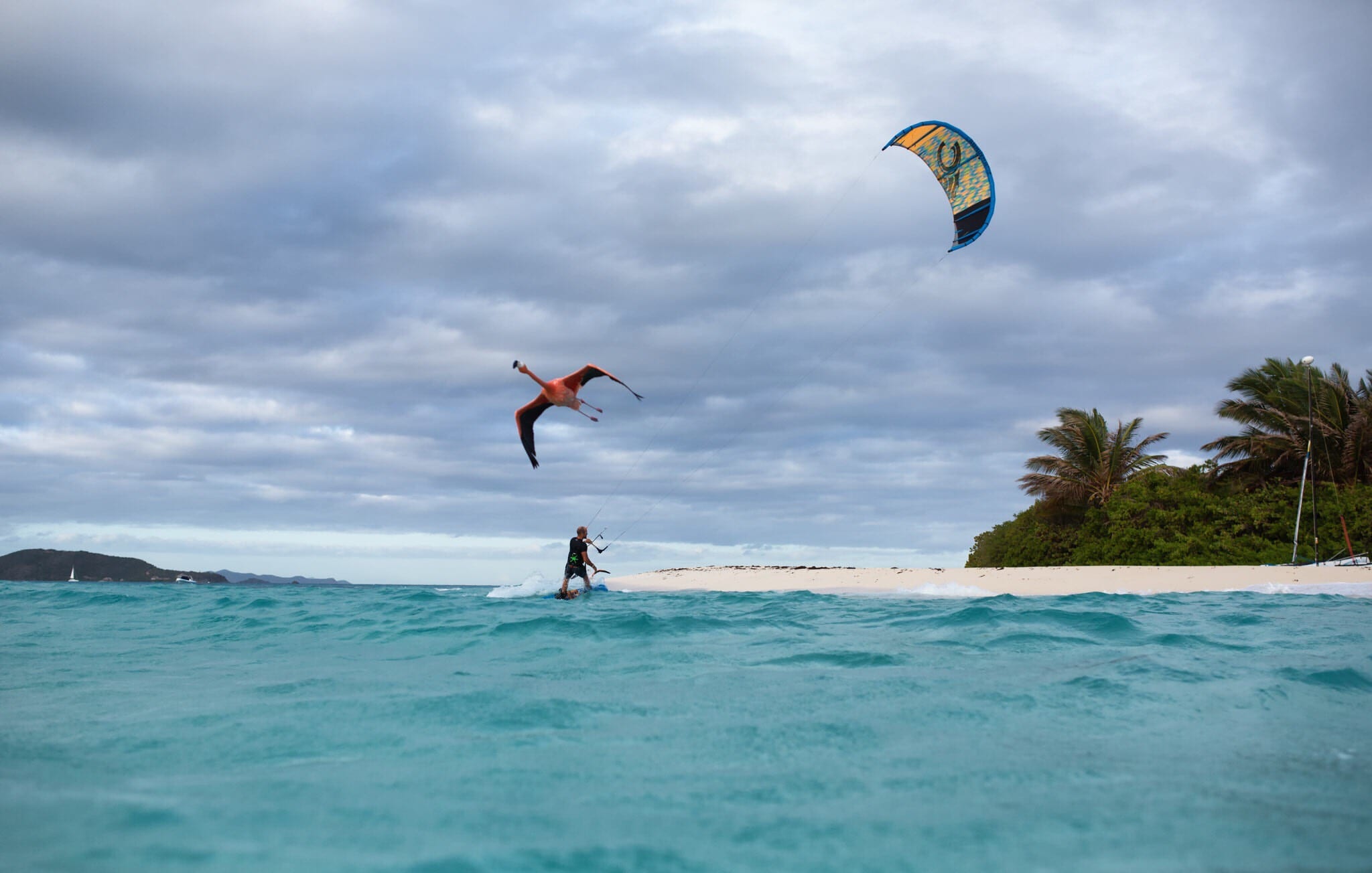 Virgin Limited Edition, Moskito Island, animal conservation, flamingo, kitesurfing Virgin Limited Edition, Moskito Island, animal conservation, flamingo, kitesurfing