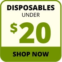 Disposables under $20