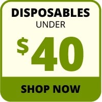 Disposables under $40