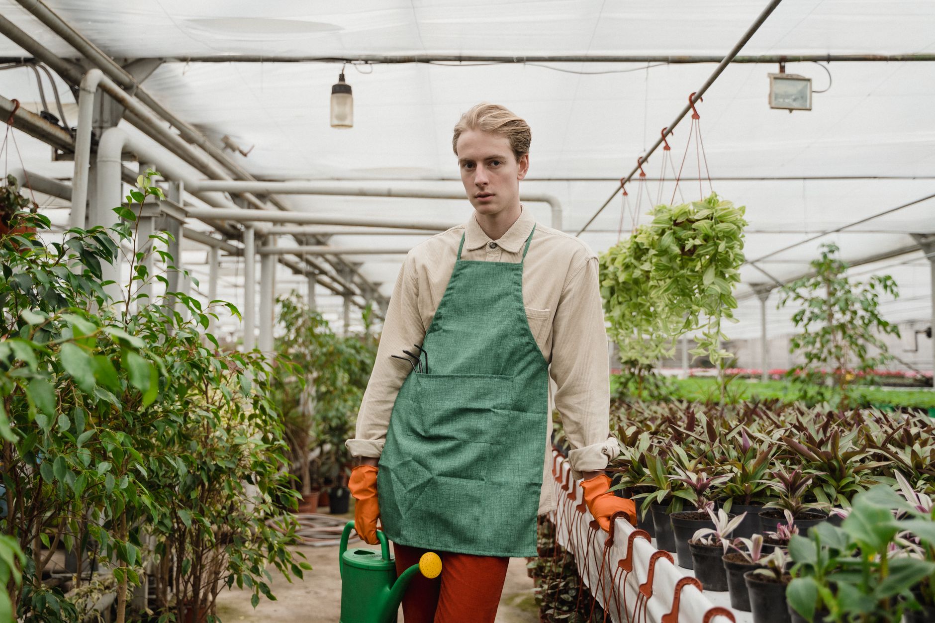 Gardening expert reveals garden center no-buys