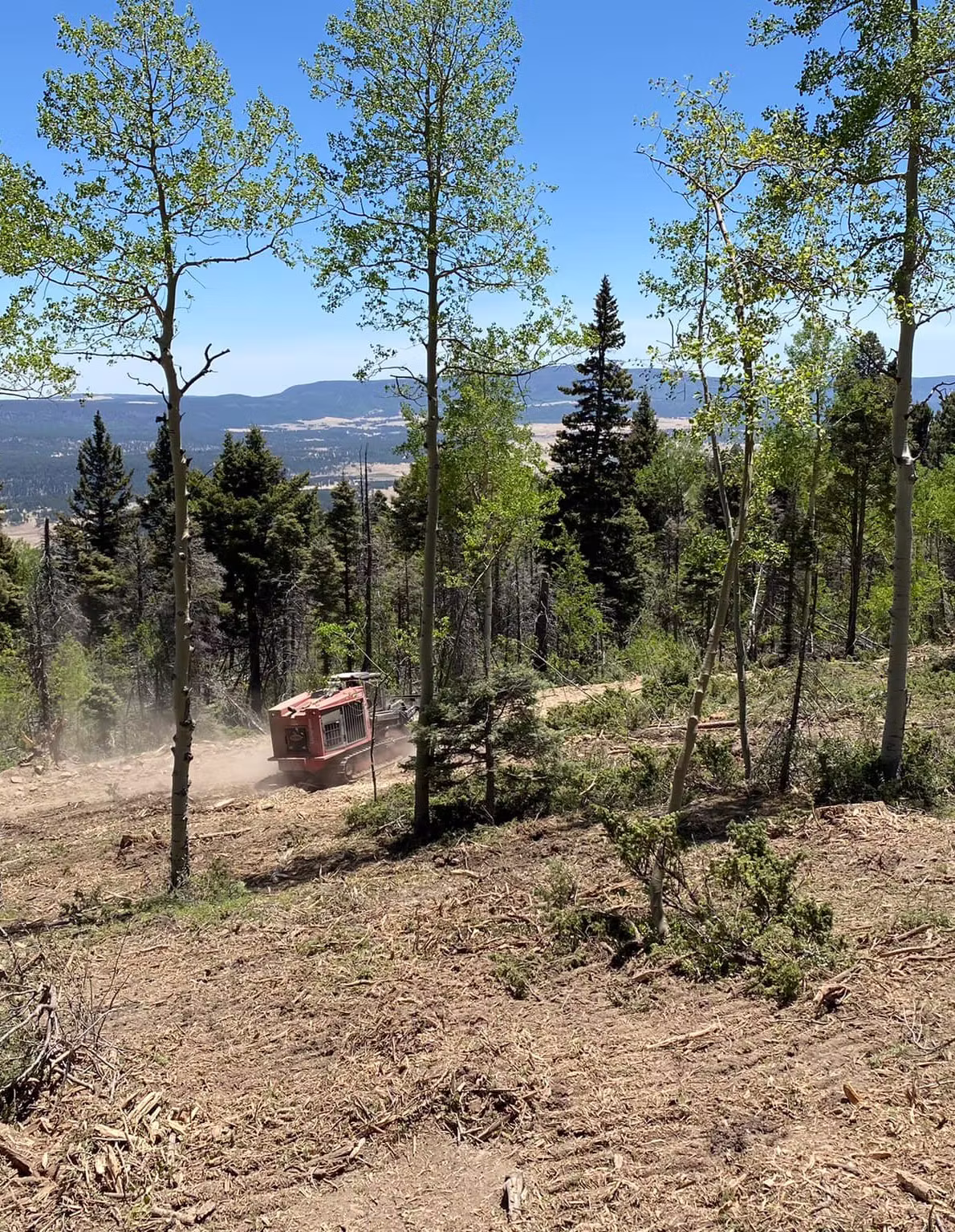 Coyote Brush: Professional Brush Clearing Solutions for California Properties