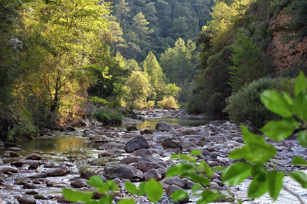YOUR GUIDE TO BACKWATER VALVE