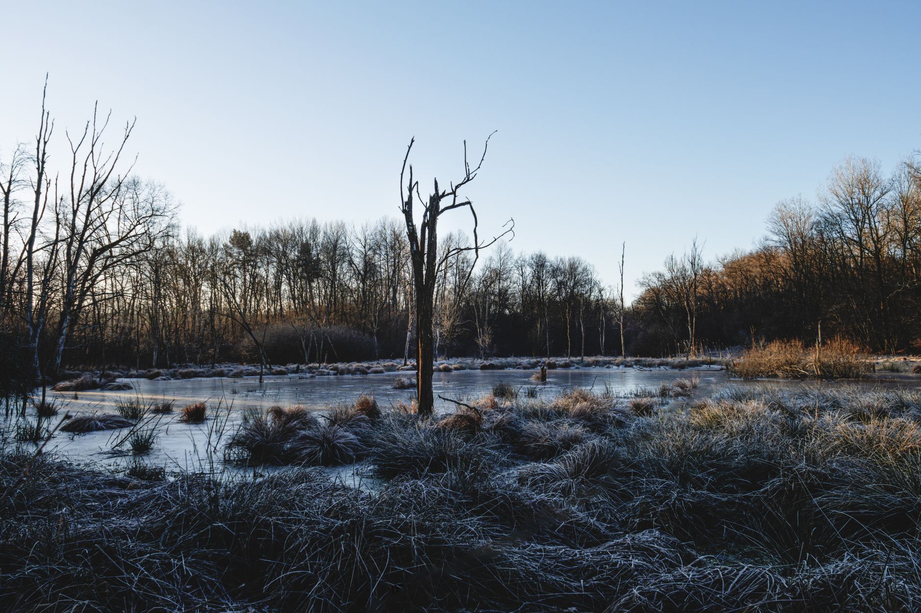 Winter Wonderland: How Artificial Grass Stands up to Cold Weather and Snow