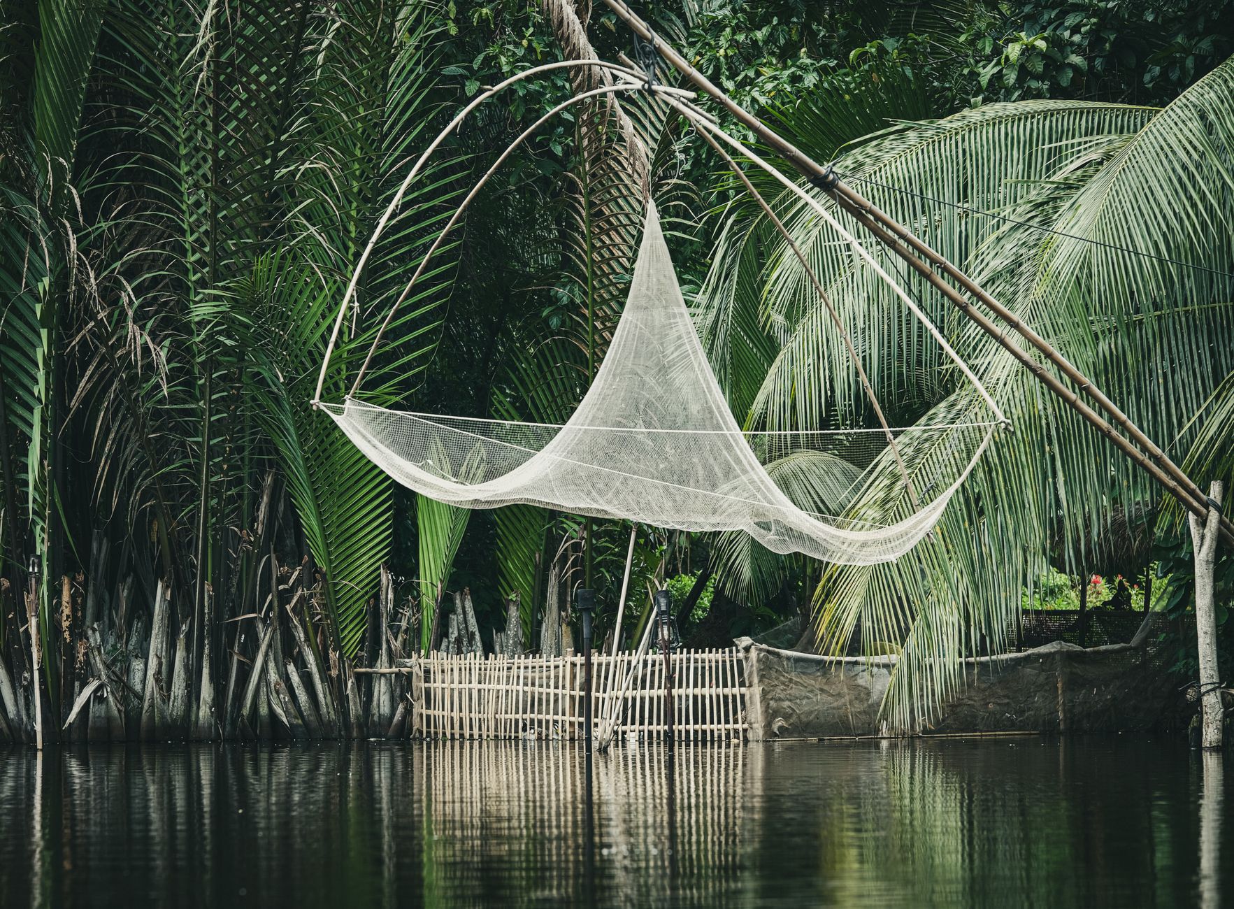TheBNGuy.co.uk: Pioneering Biodiversity Net Gain and Ecology Consultancy in the UK